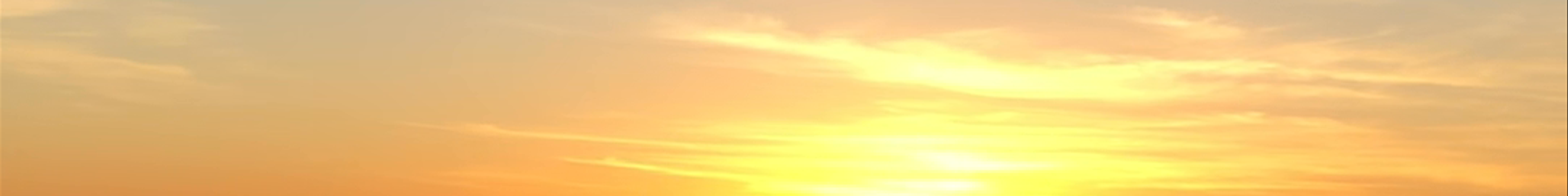 Tours & experiences in Yulara