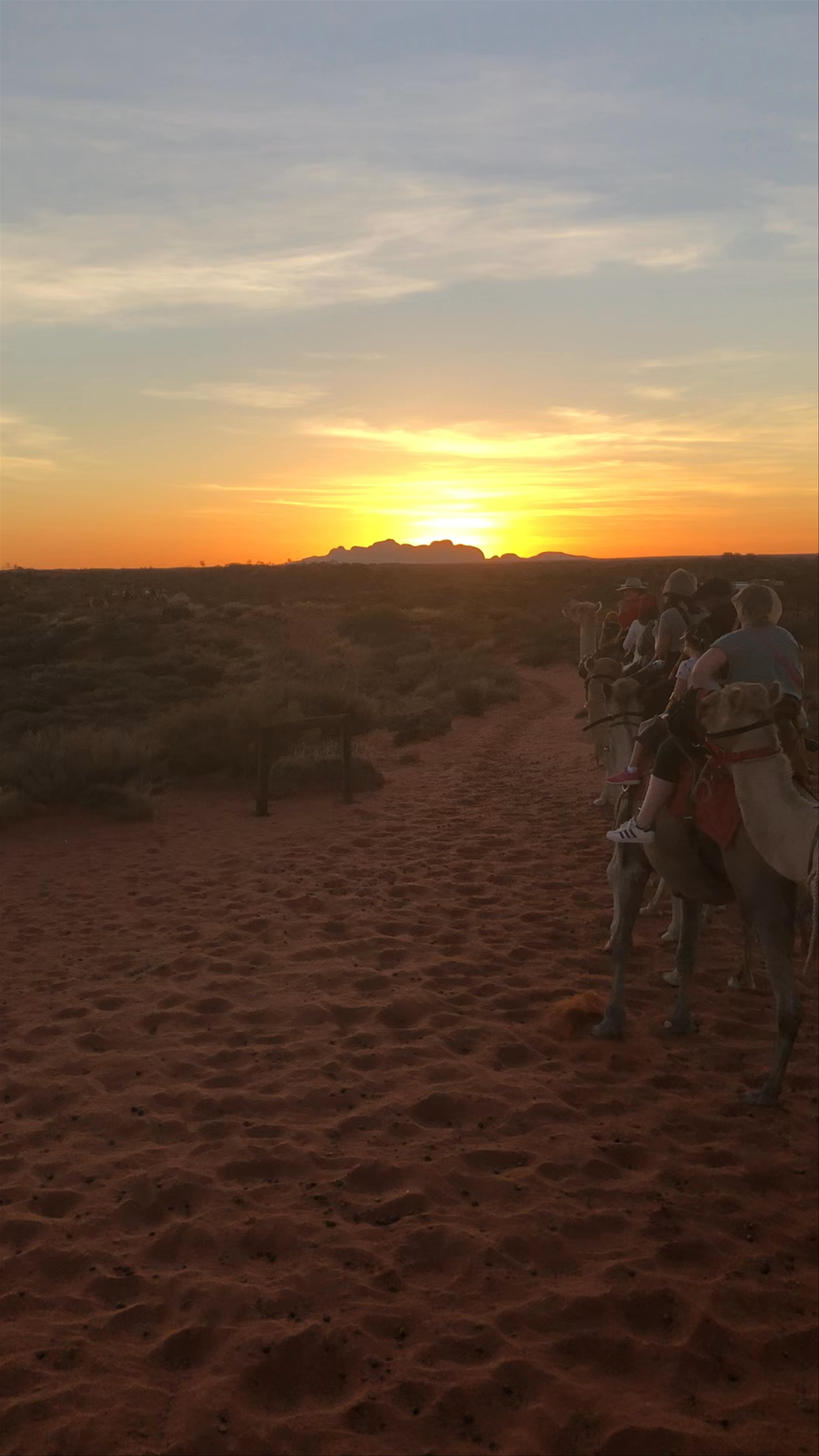 Sunset Camel Tour at Uluru - Kali Circuit, Northern Territory