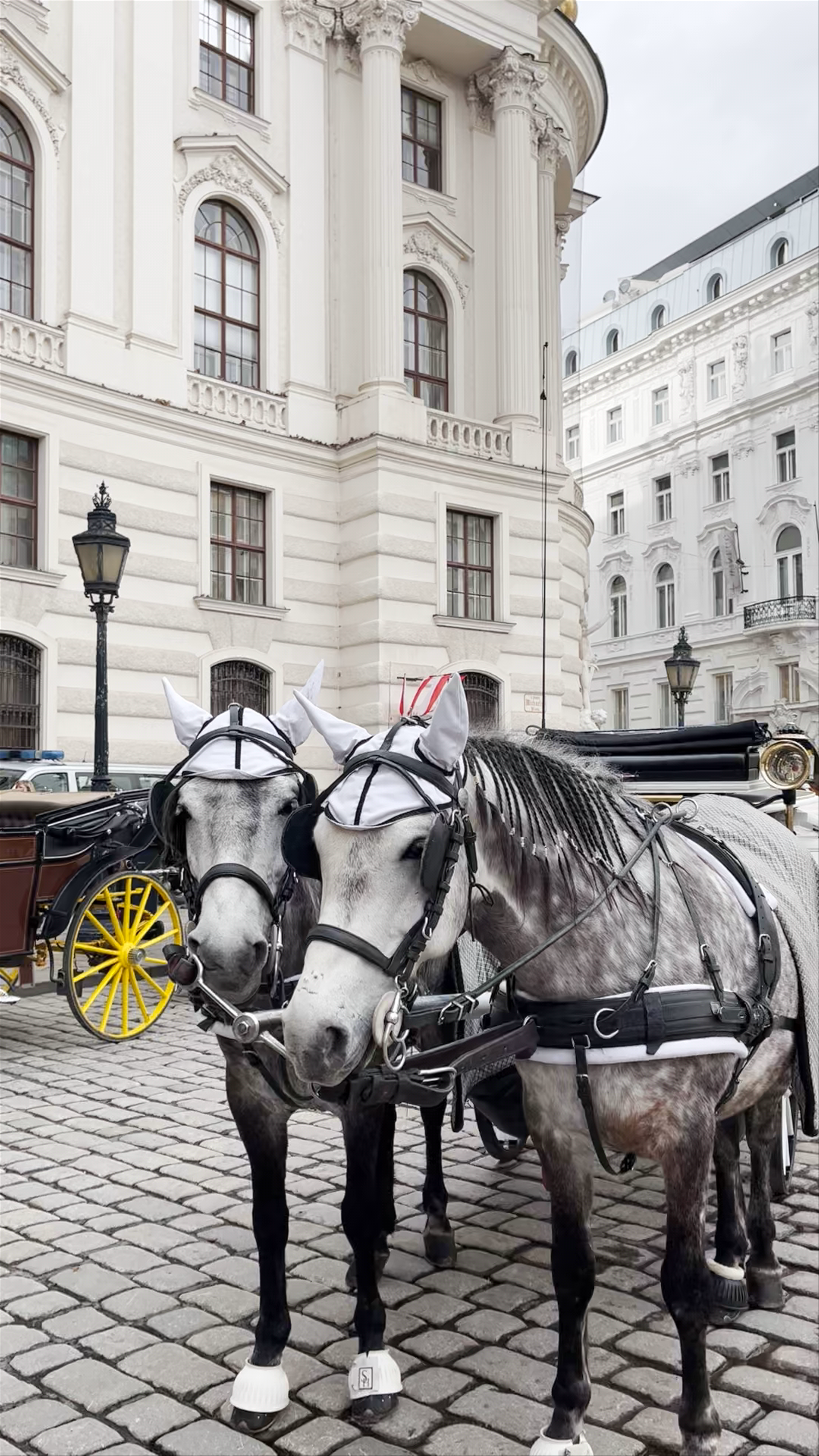 Horse-Drawn Carriage Tours in Historic Vienna