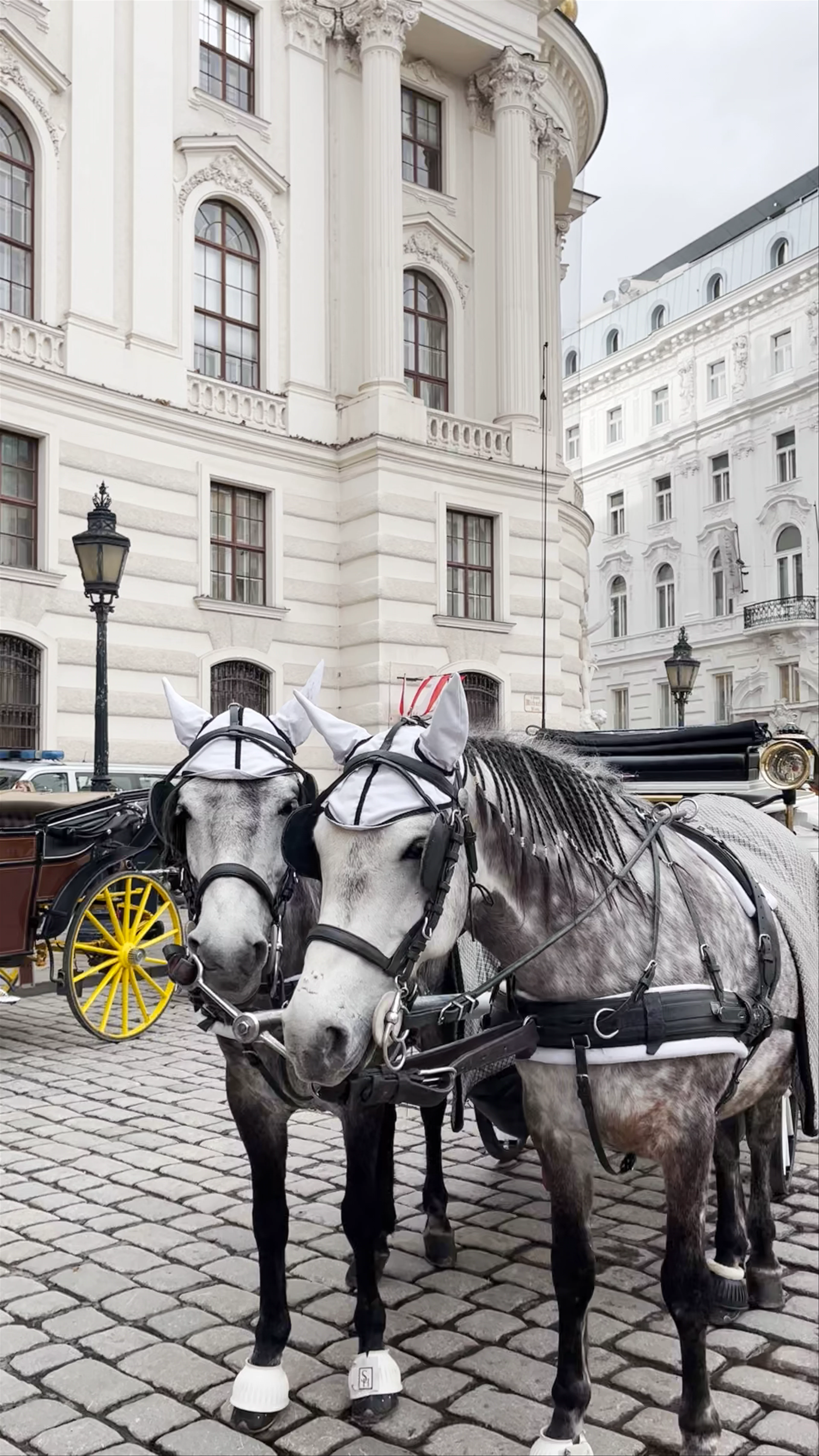 Horse-Drawn Carriage Tours, Simmeringer Hauptstraße