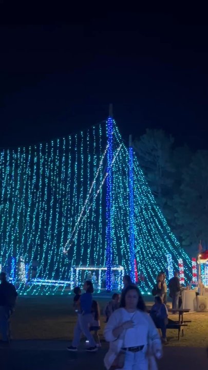 Lone Star Lights - Ziplining Near Me - Huntsville, Texas