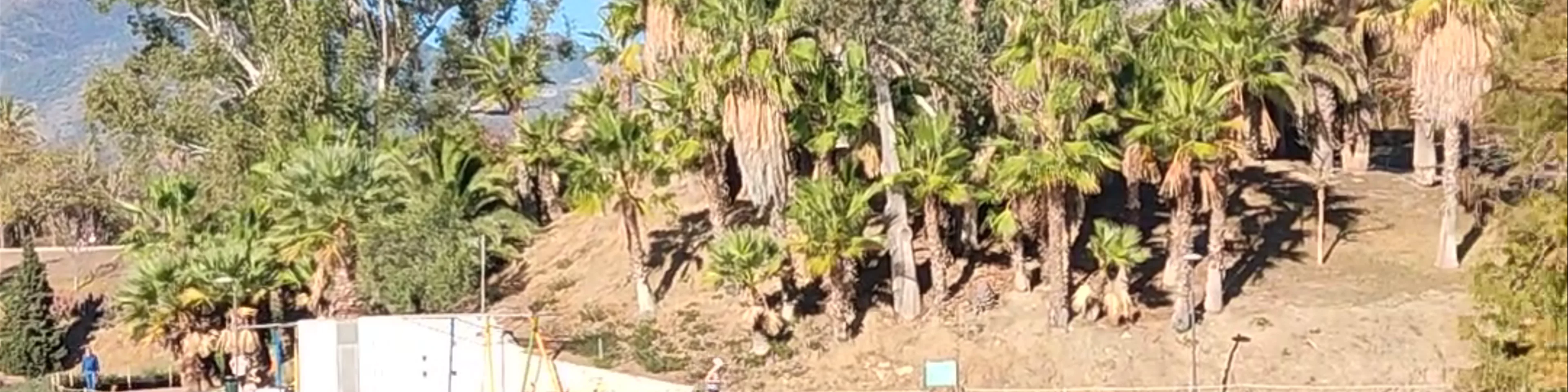 Parque de la Paloma