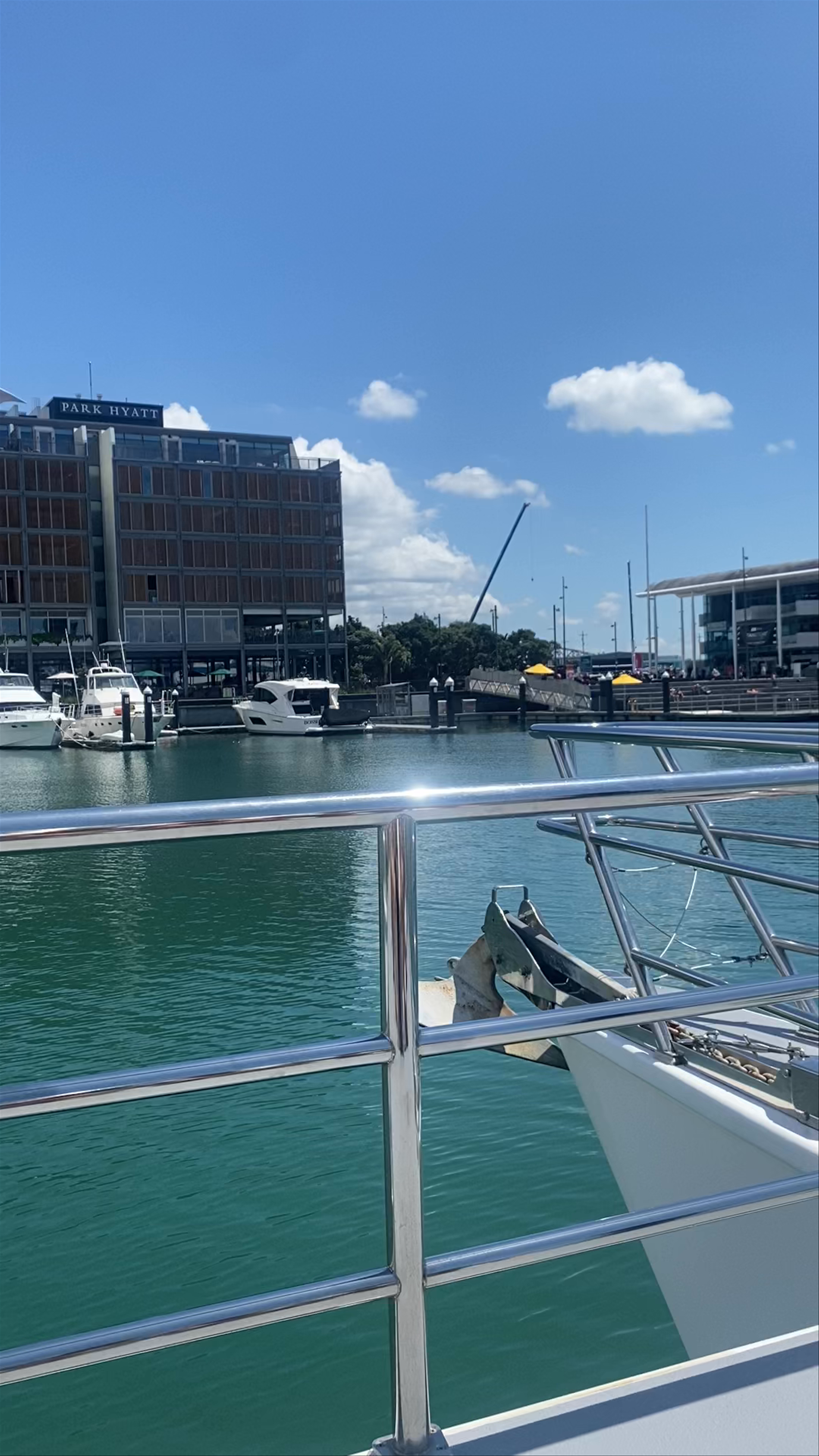 Auckland Whale & Dolphin Safari