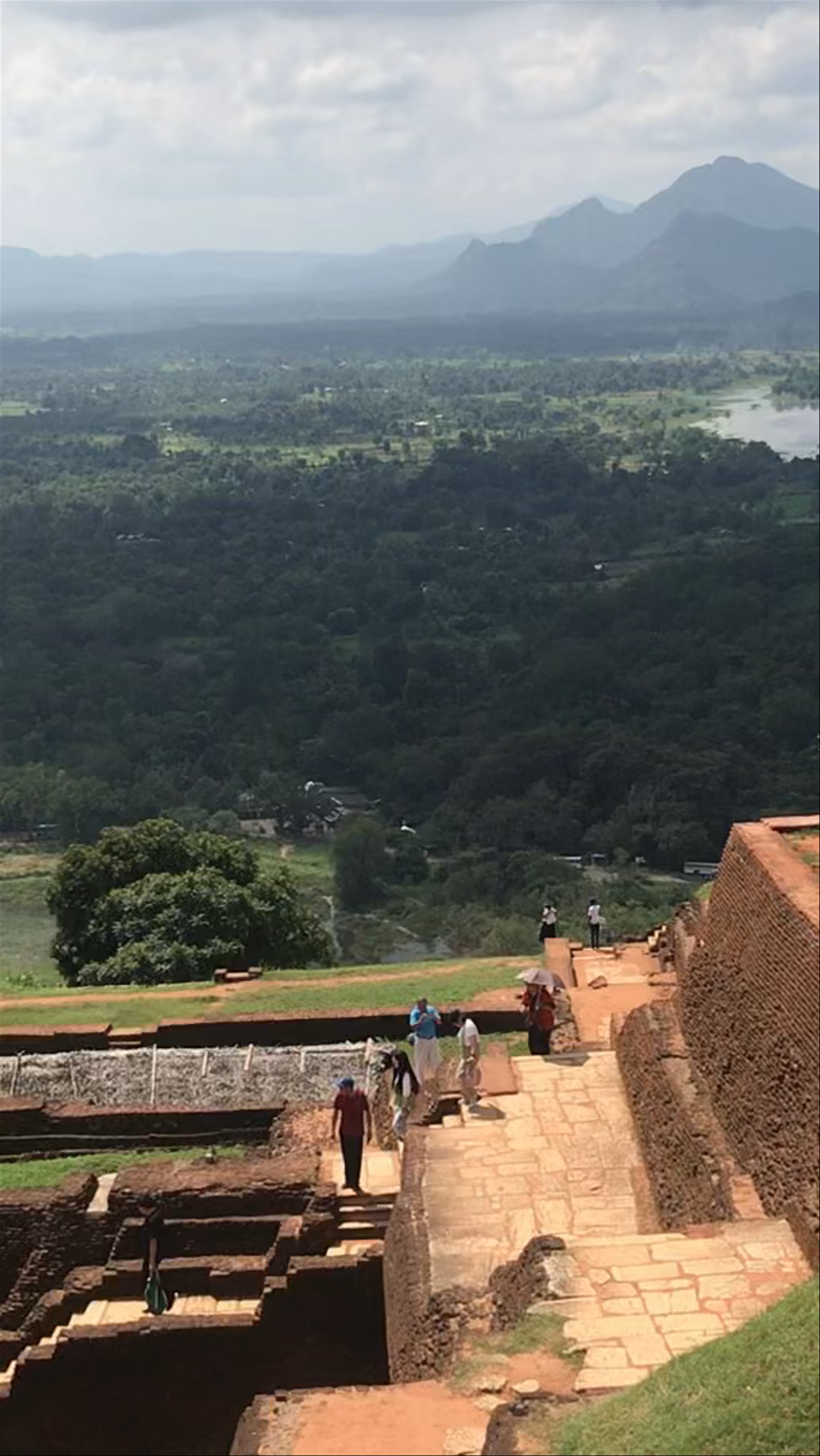 Sigiriya Rock: Ancient Majesty and Panoramic Jungle Views in Sri Lanka