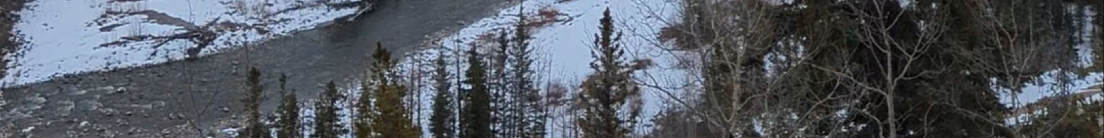 Tours & experiences in Bragg Creek