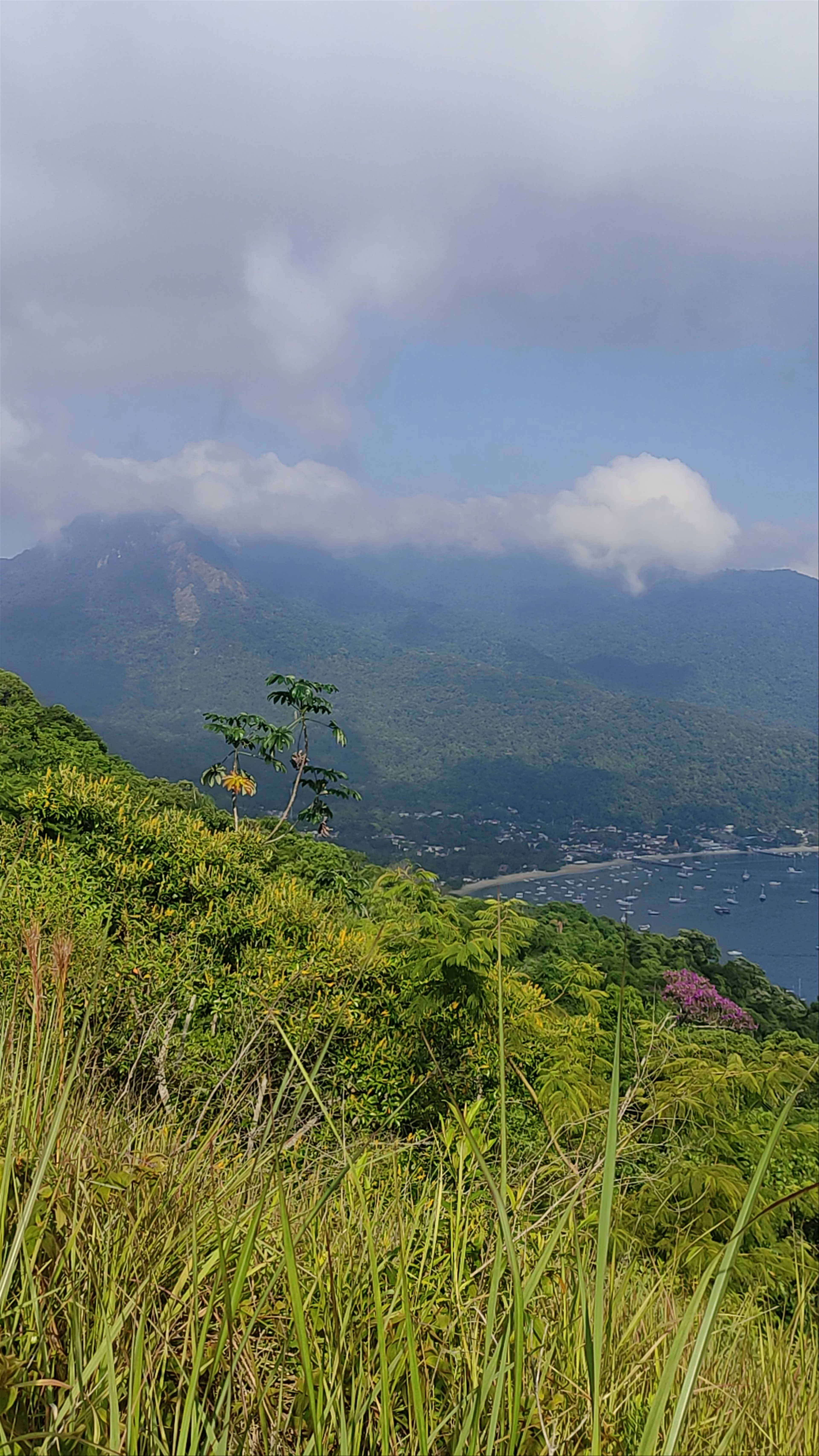 Ilha Grande - Abraão