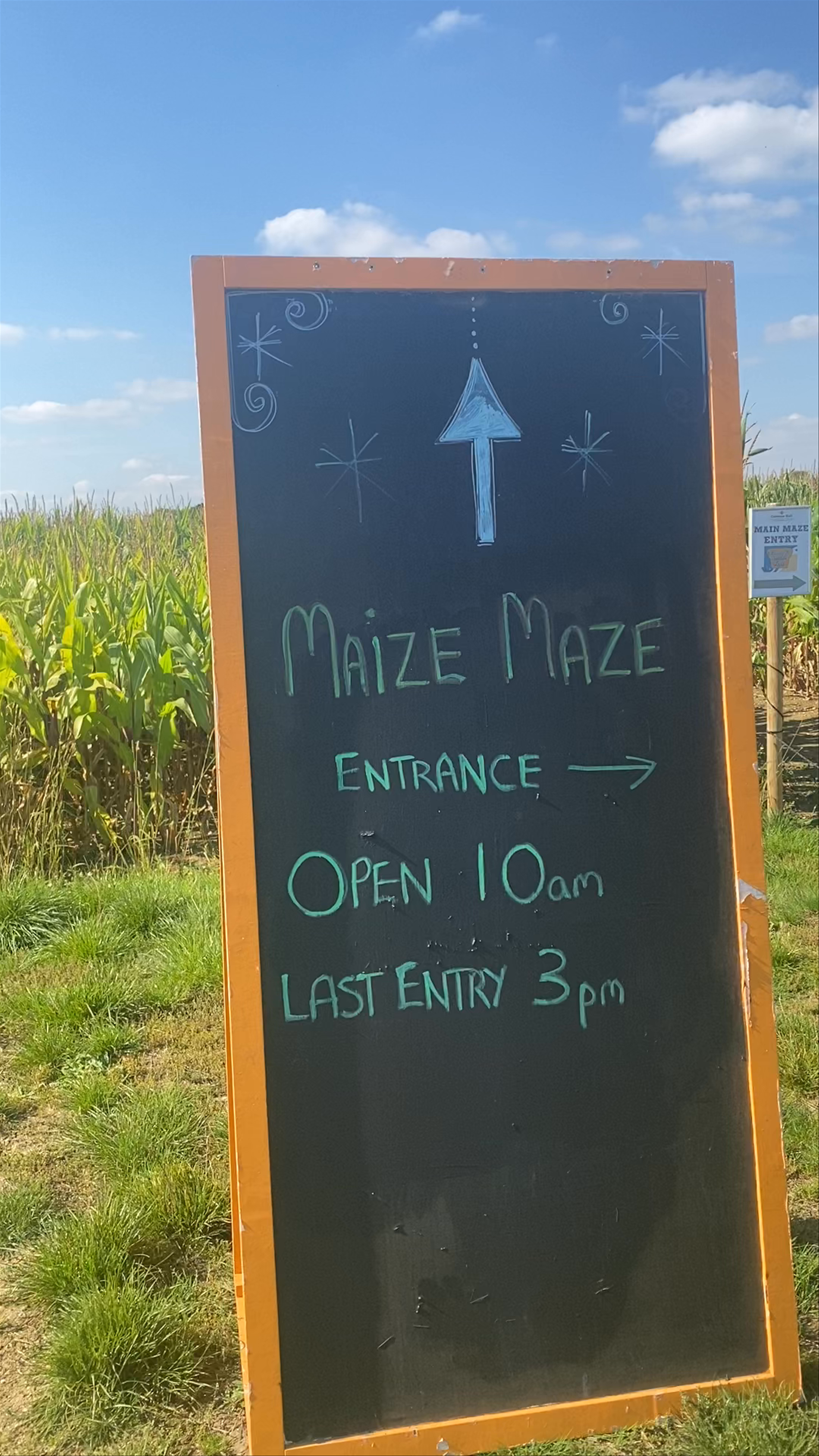 Explore the Maize Maze at Cammas Hall Farm in Bishop's Stortford