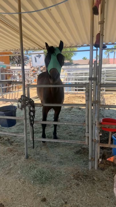McKee Ranch - Ranches Near Me - Las Vegas, Nevada