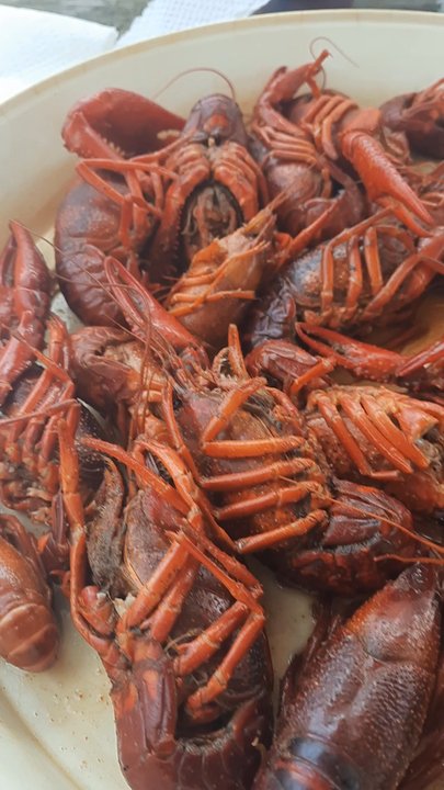 The Boot - $10.99 a lb - Cajun/Creole Near Me - Houston, Texas