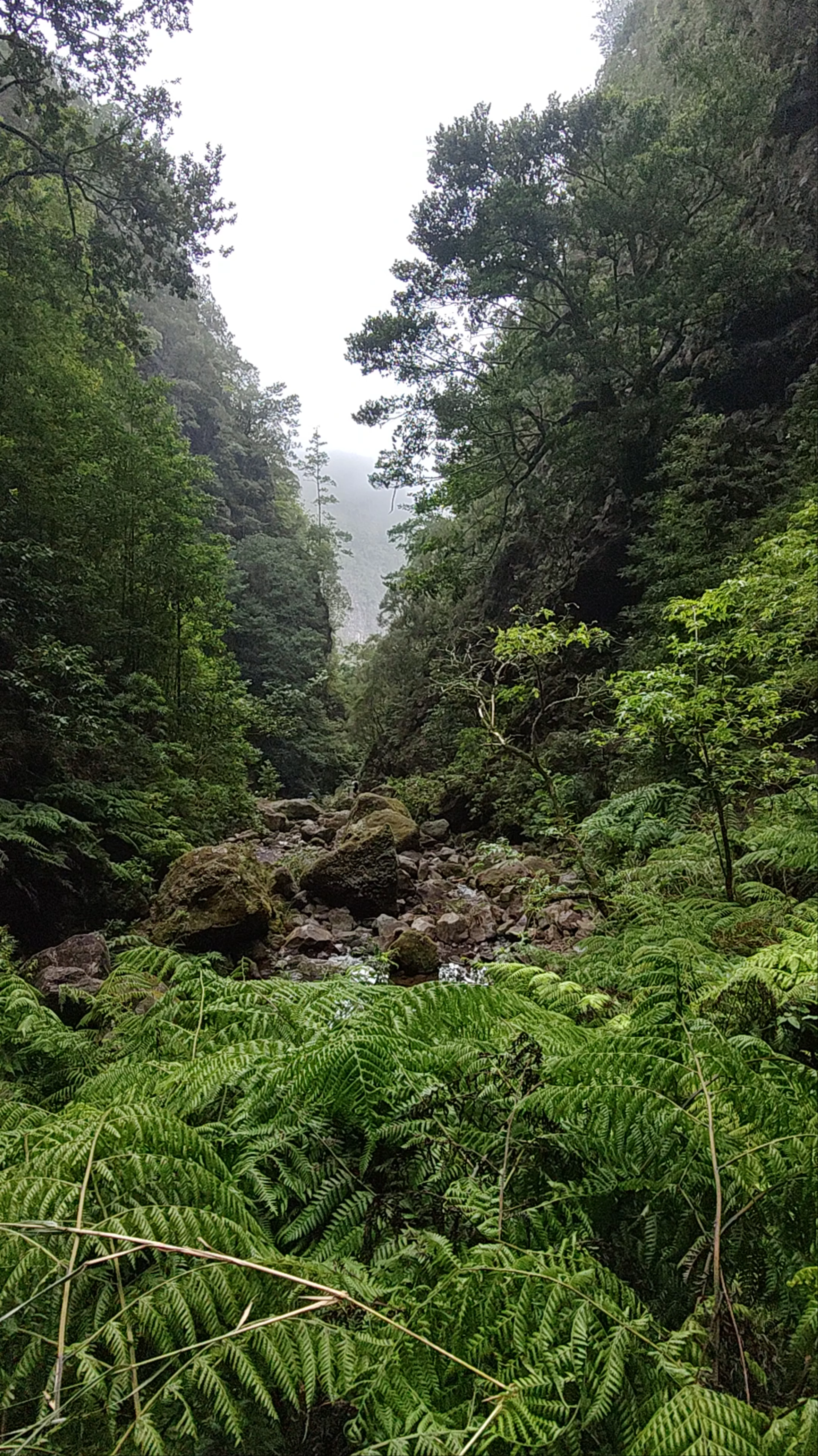 Caldeirão Verde