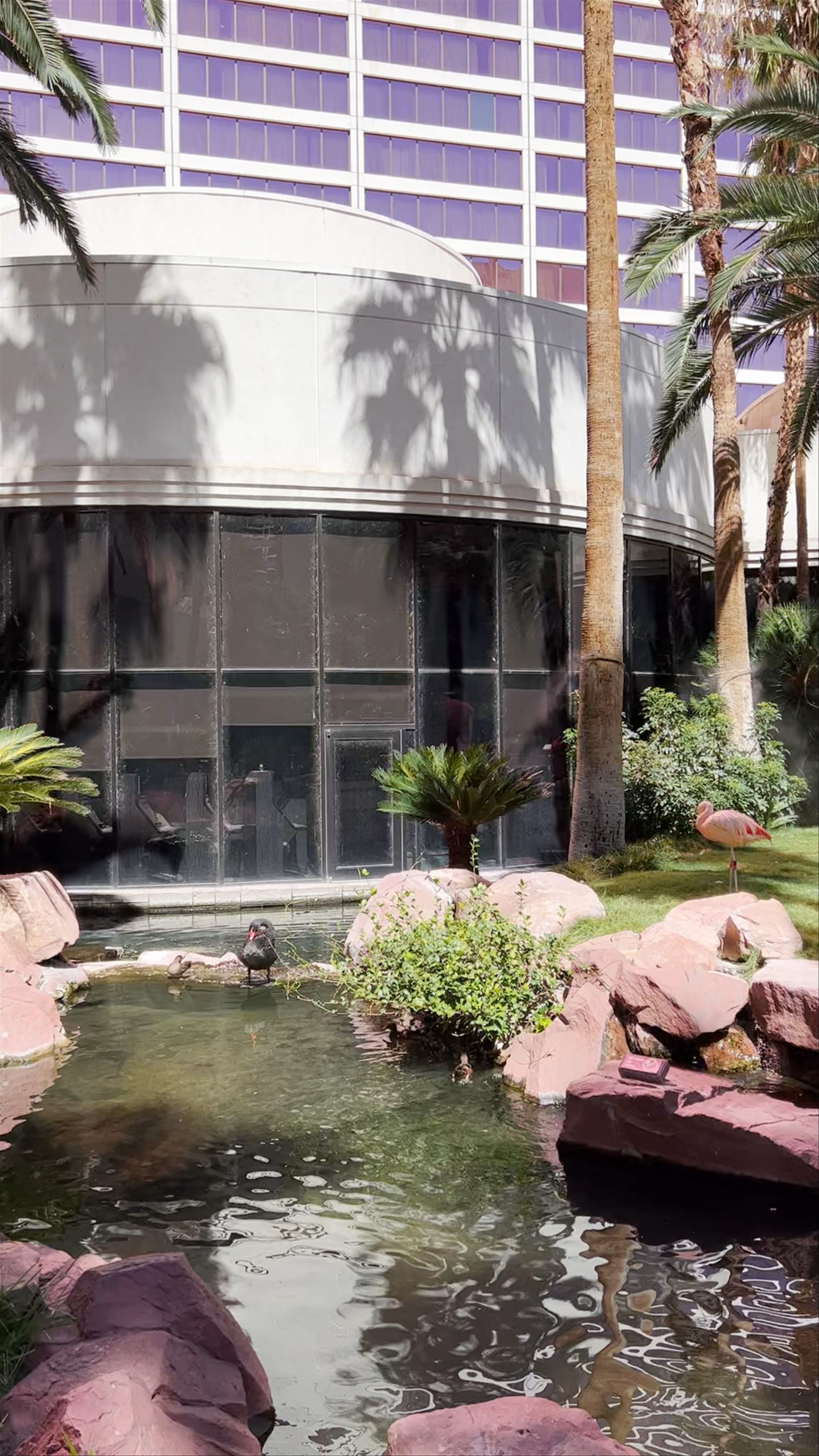Flamingo Las Vegas Hotel & Casino