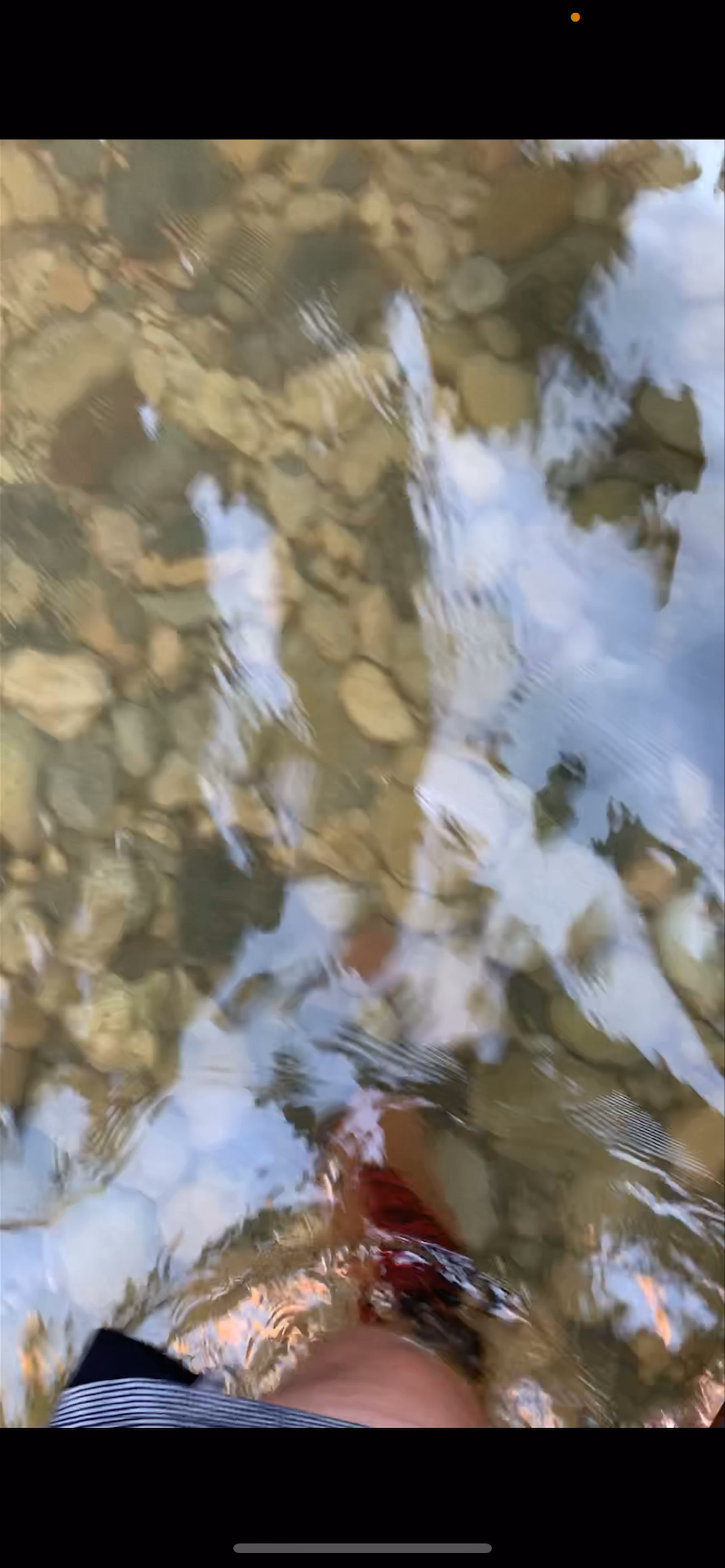 Zion National Park- The Narrow Trail