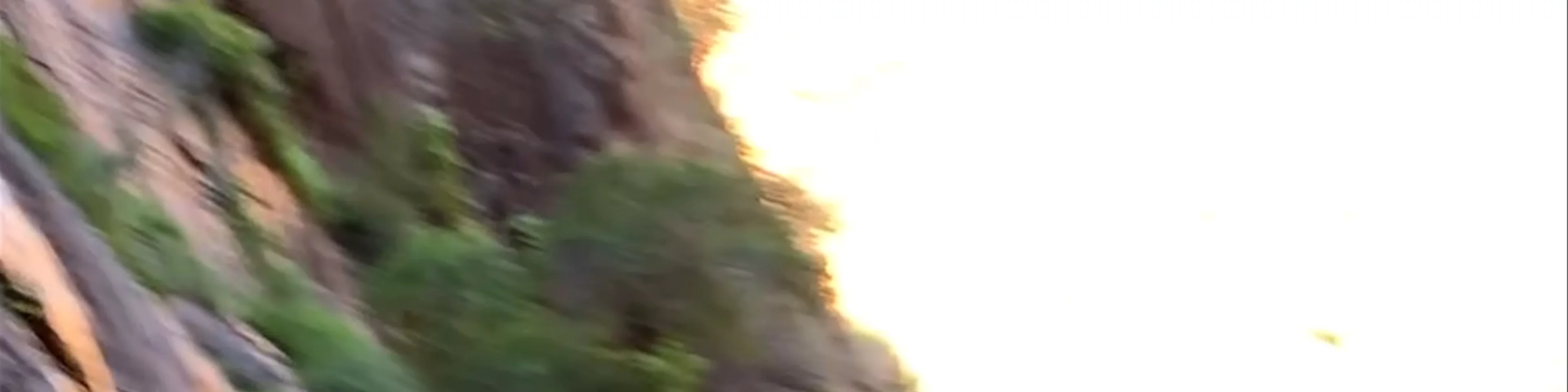 Zion National Park- The Narrow Trail
