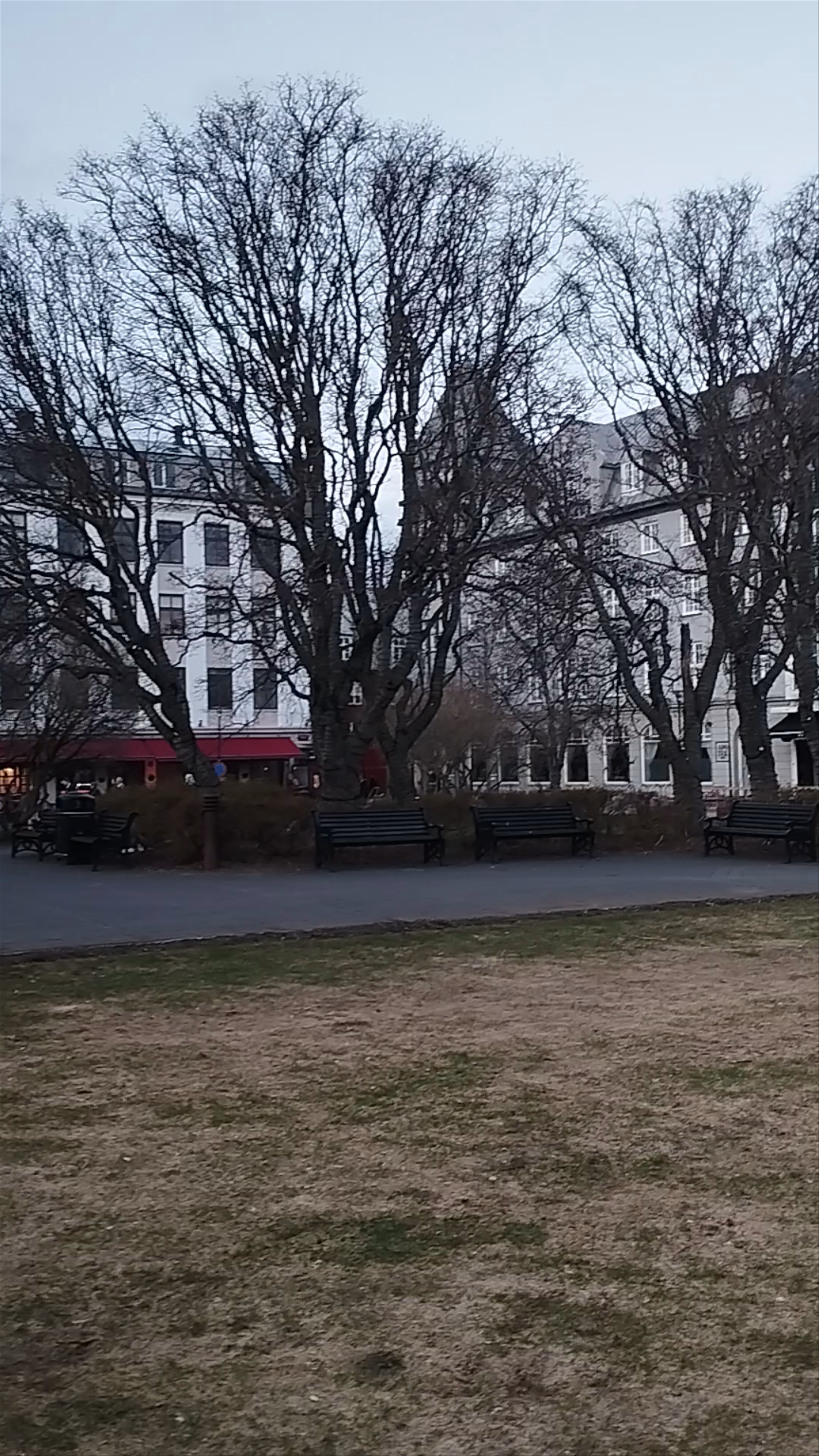 Austurvöllur