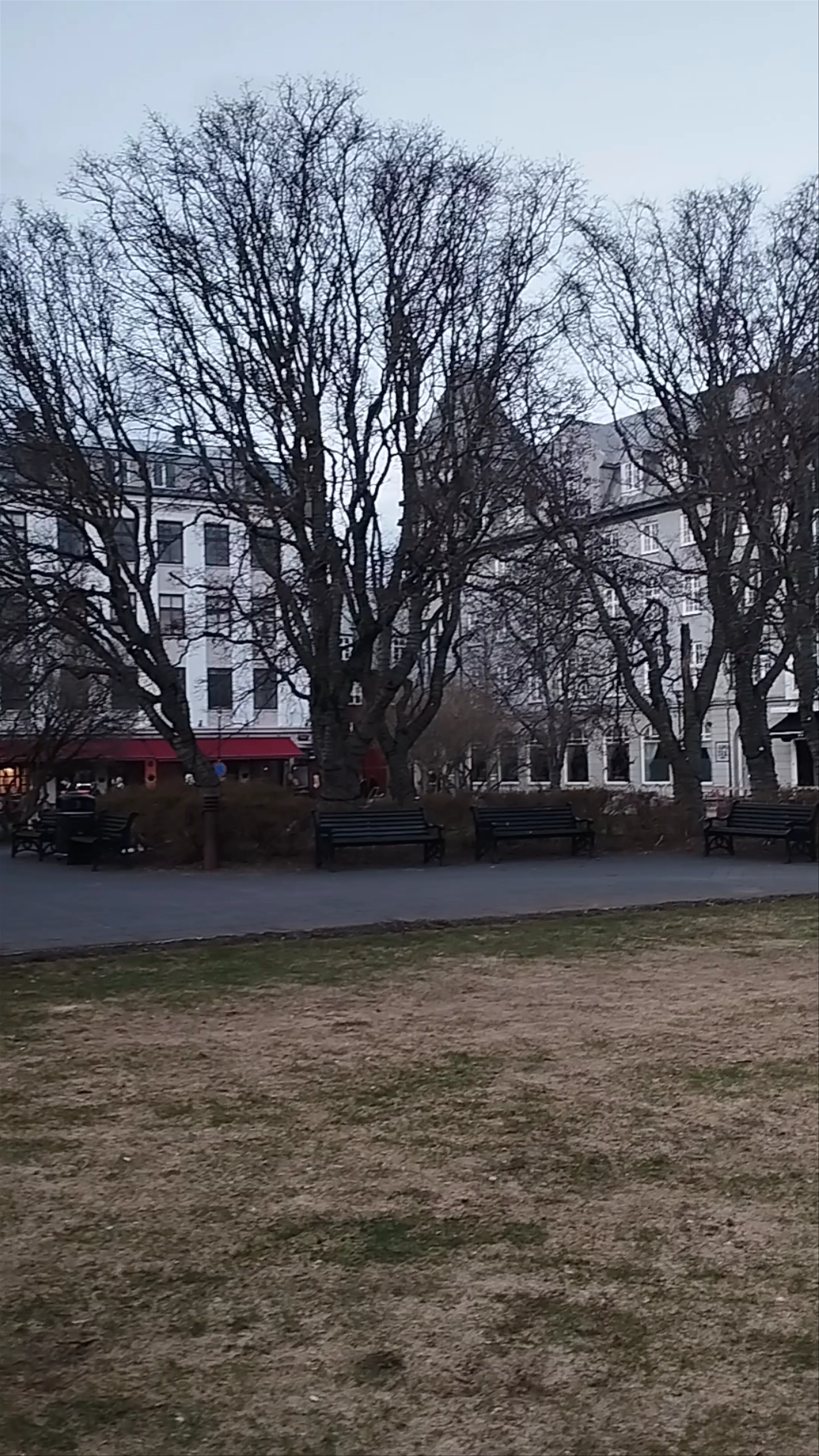 Austurvöllur, Pósthússtræti