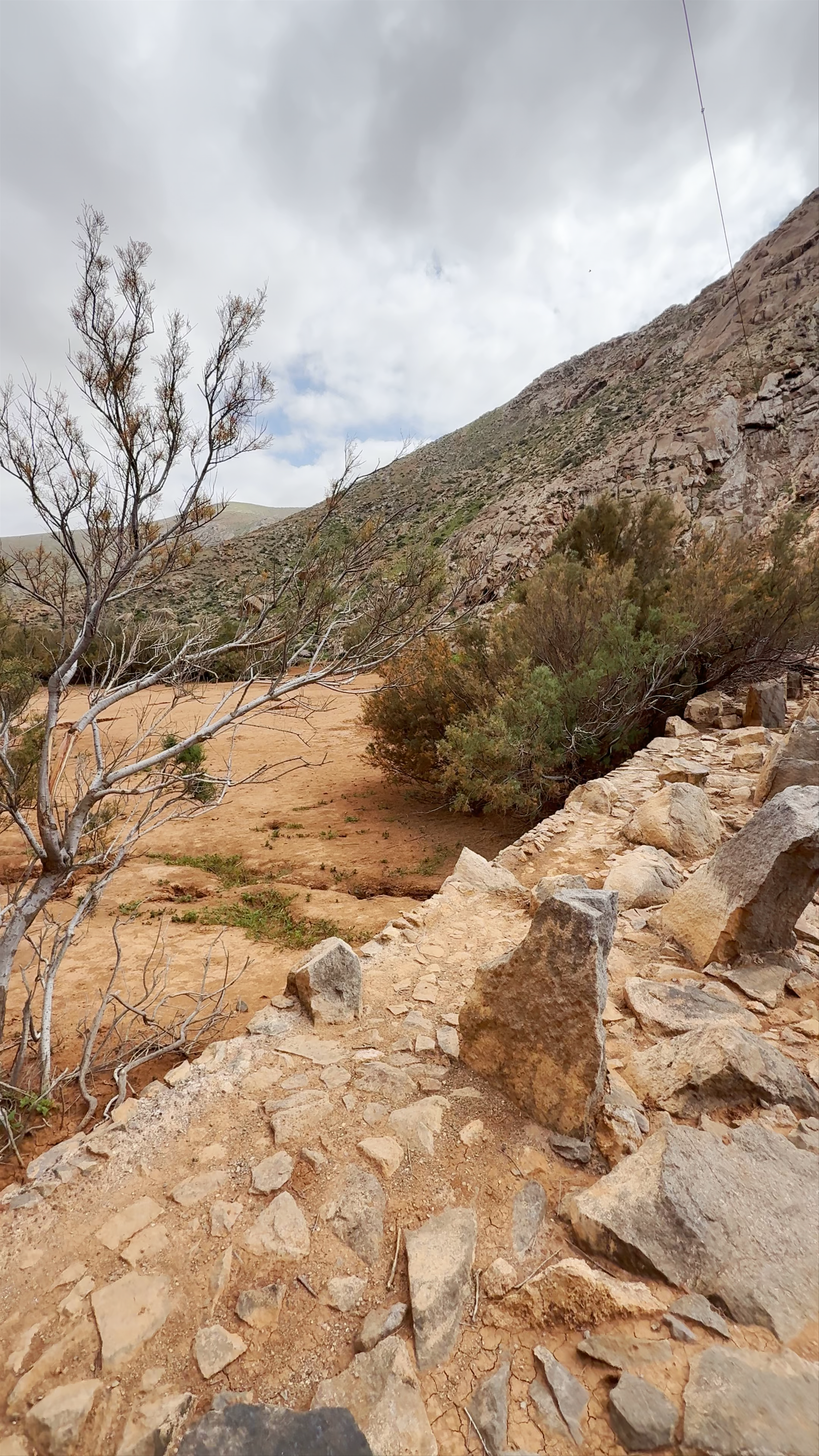 Presa de las Peñitas