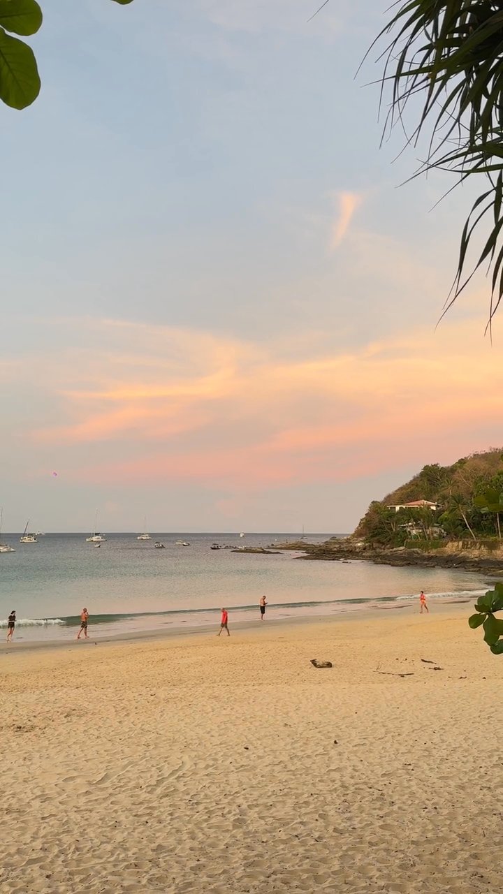 これぞ南国
🎥 Roong Thongwichien · Pexels
#パタヤ #タイ #タイ移住 #海外生活 #pattaya #thailand
