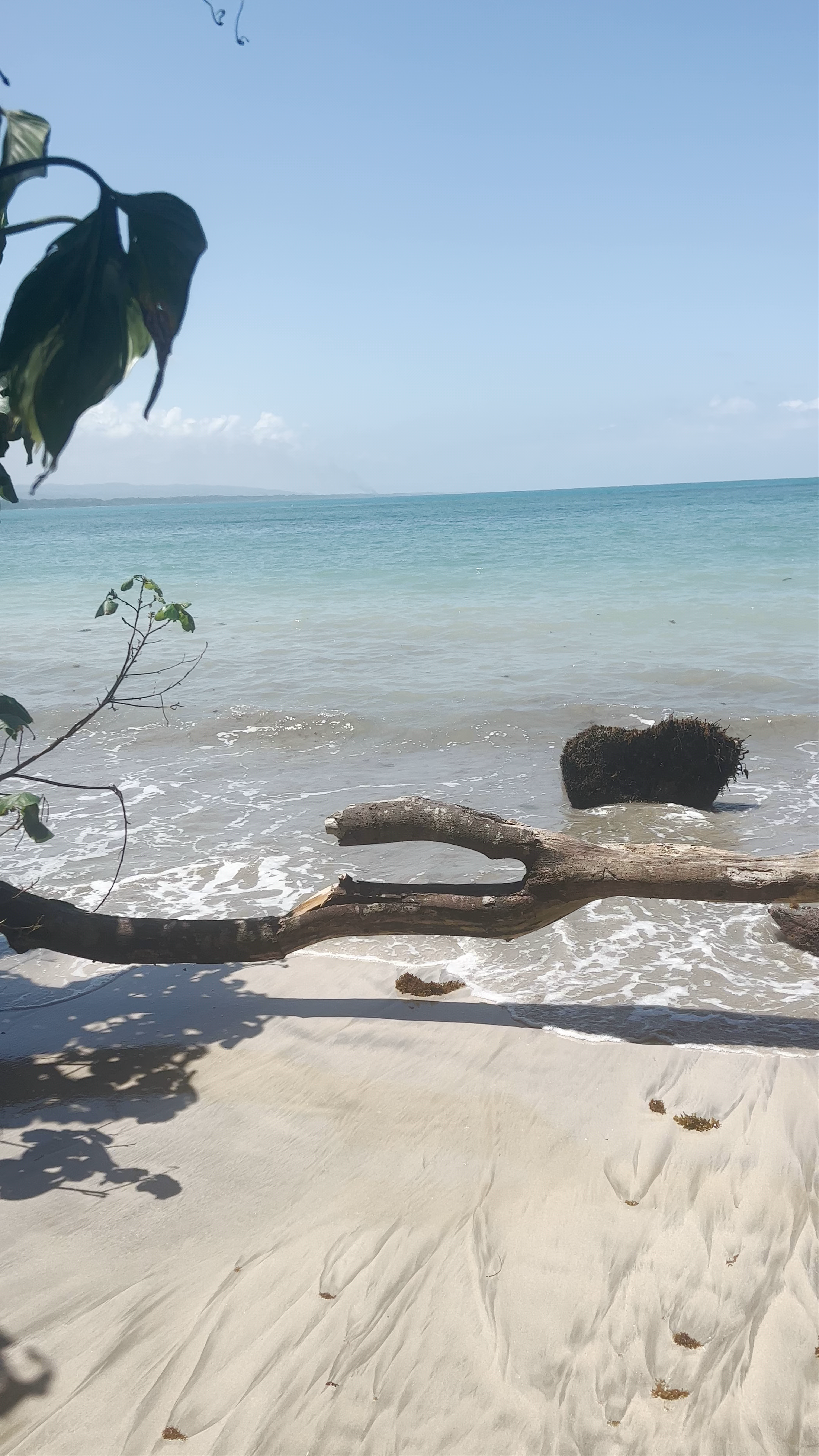 Cahuita National Park