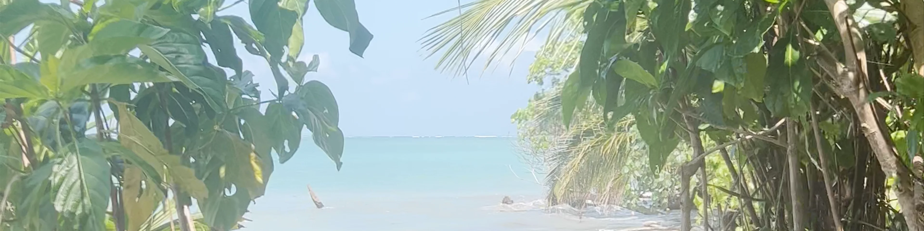 Cahuita National Park
