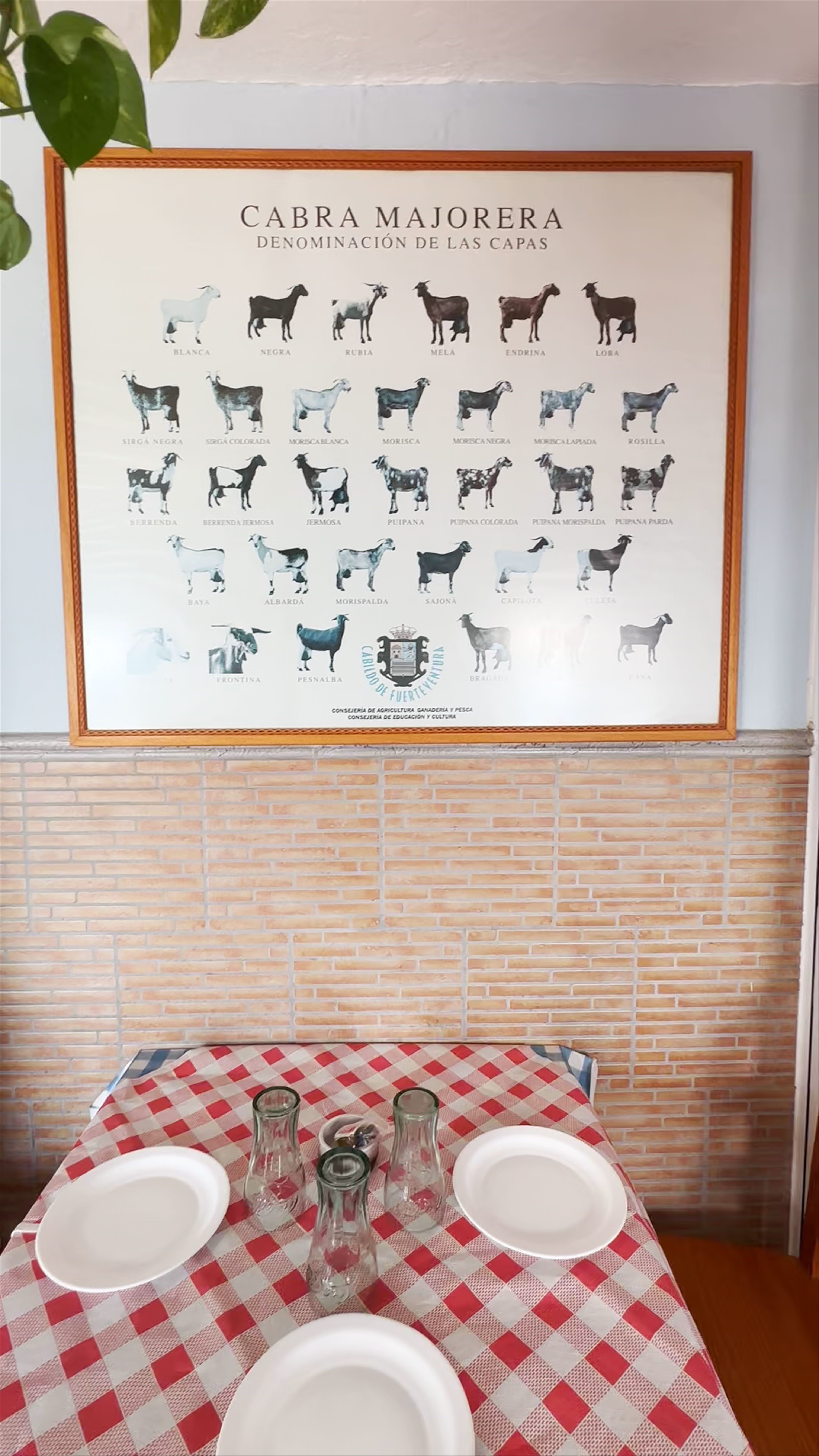 Cozy Coastal Dining at Los Pescadores, Pozo Negro, Spain