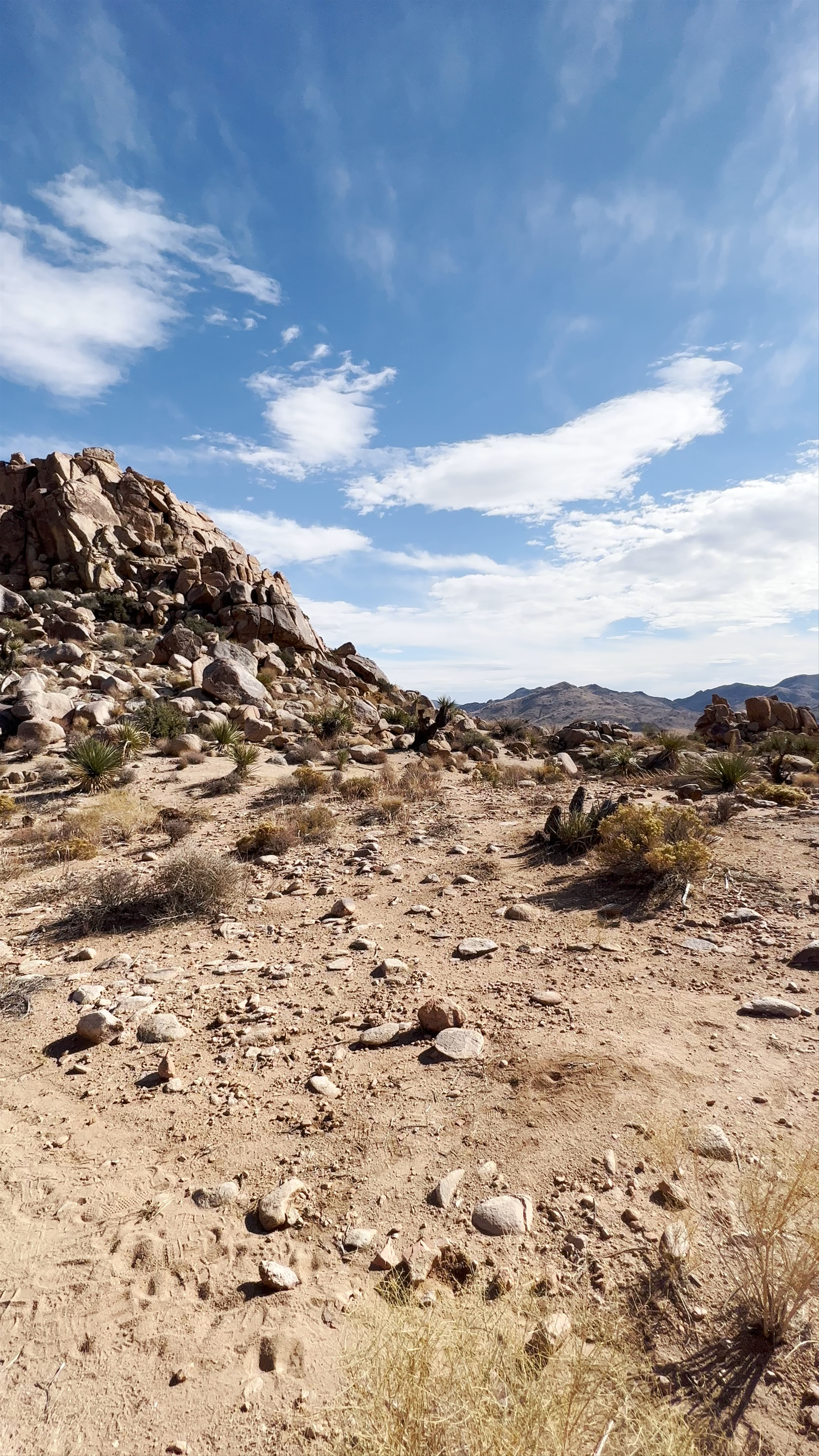 Joshua Tree National Park