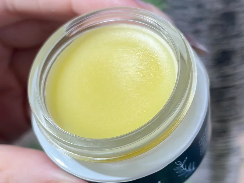 Delectable Lip Butters