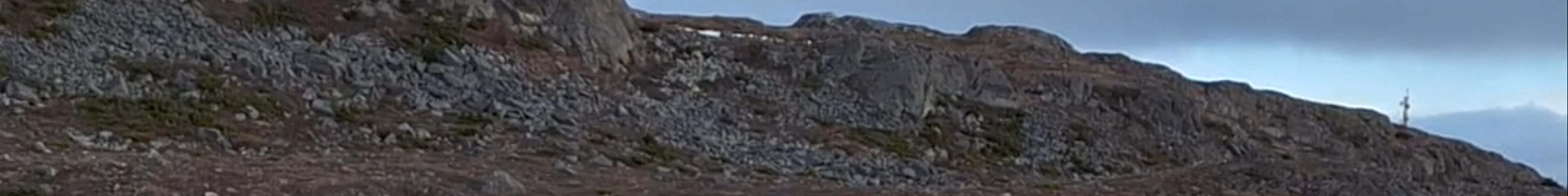 Tours & experiences in Saint Pierre and Miquelon