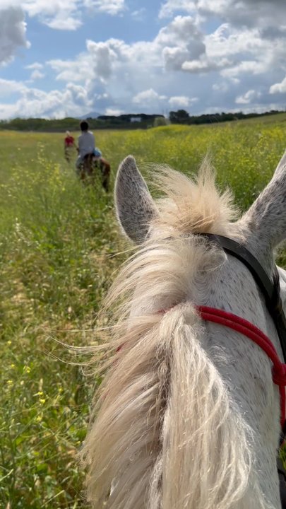 Riding Ancient Rome - Countryside Views! - Sports Clubs Near Me - Rome, RM
