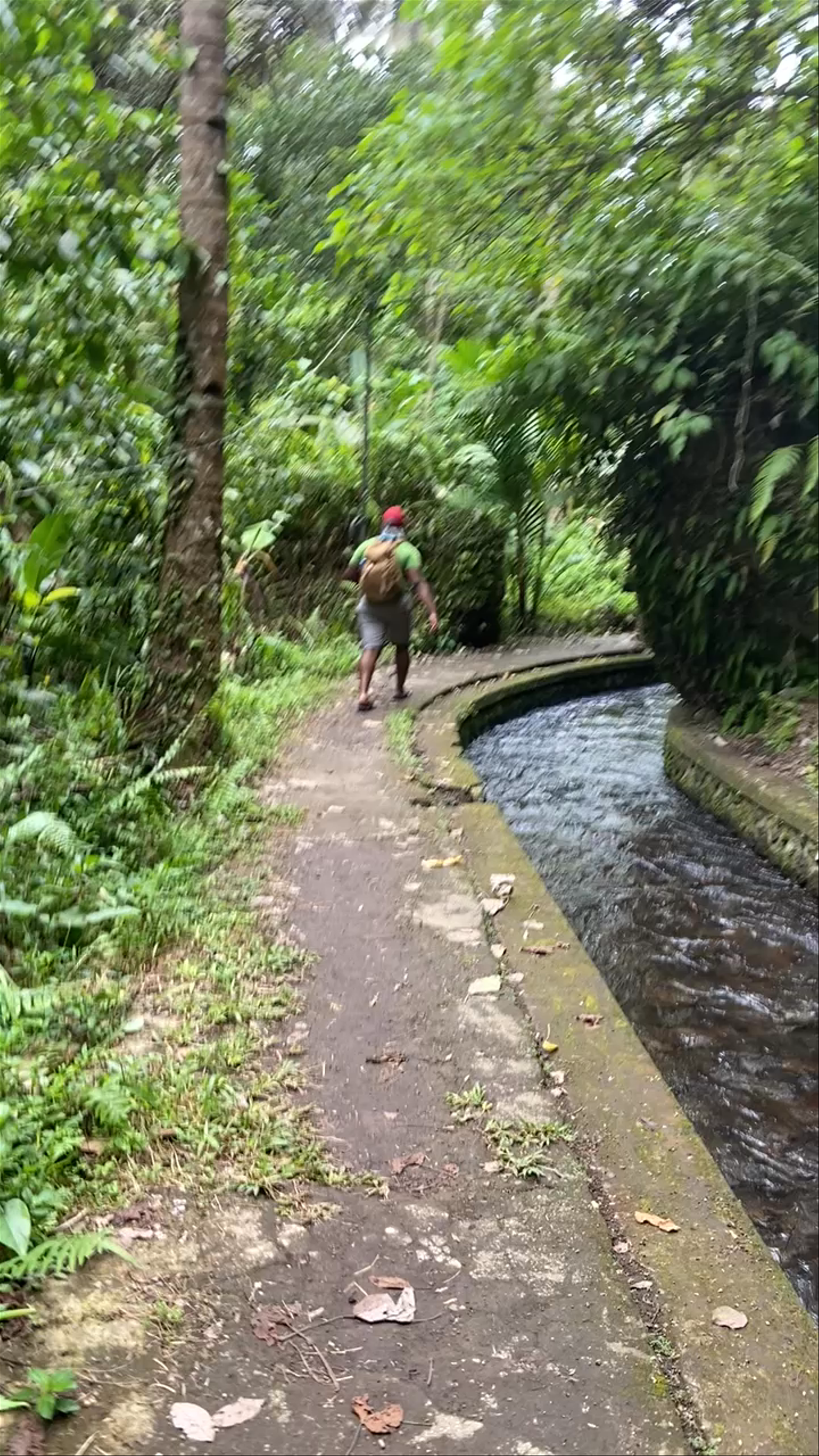Tukad Cepung Waterfall Forest Trail: A Serene Nature Escape in Bali