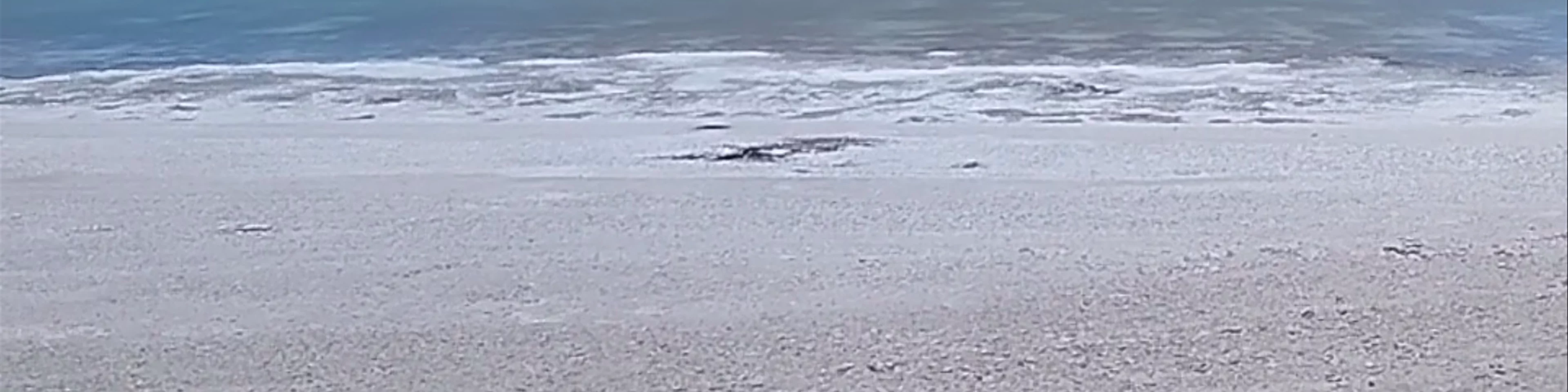 Laguna Verde