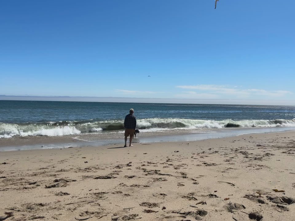 Its Beach - Wading and chasing waves! - Beaches Near Me - Santa Cruz, California