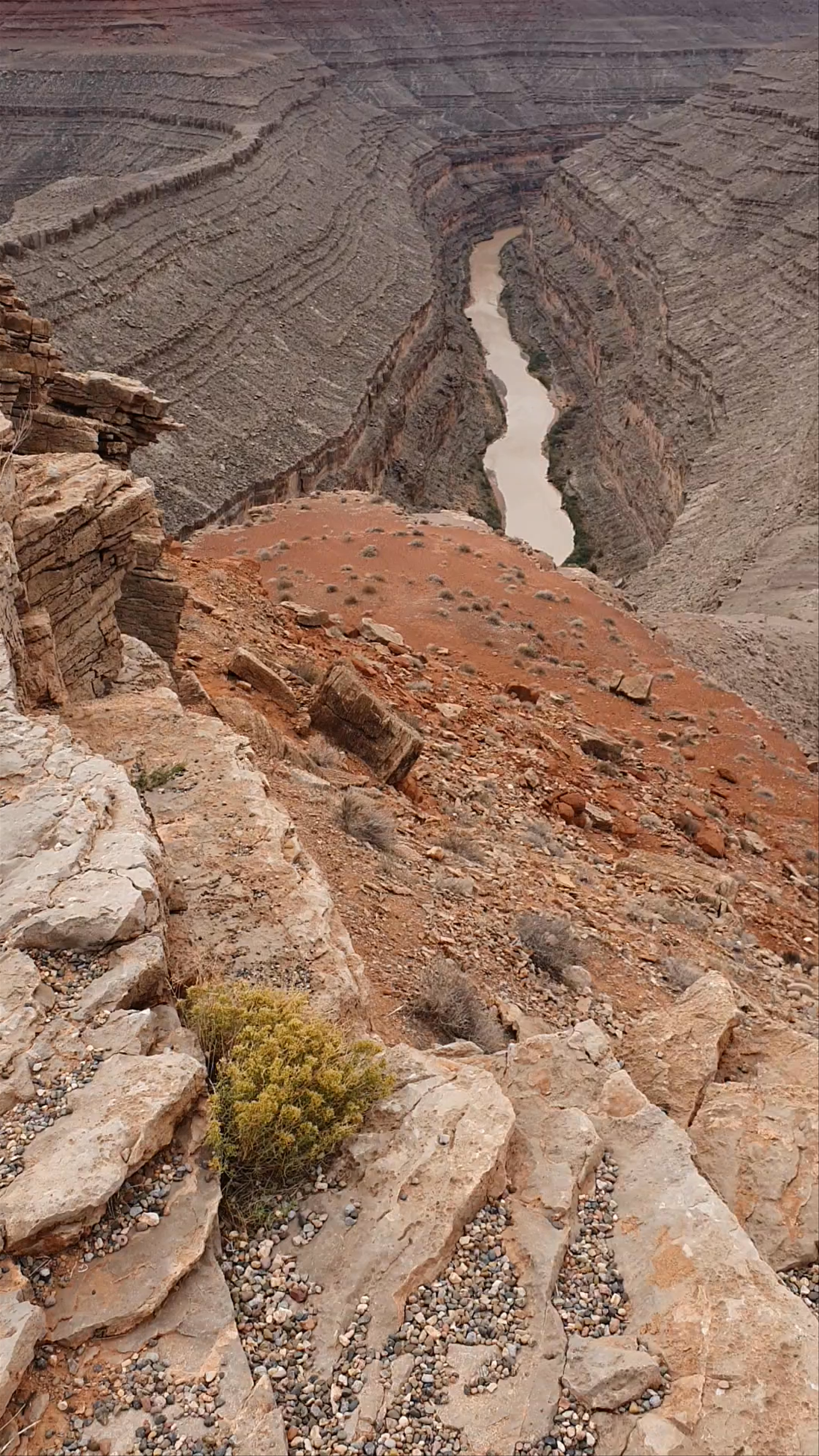 Goosenecks State Park