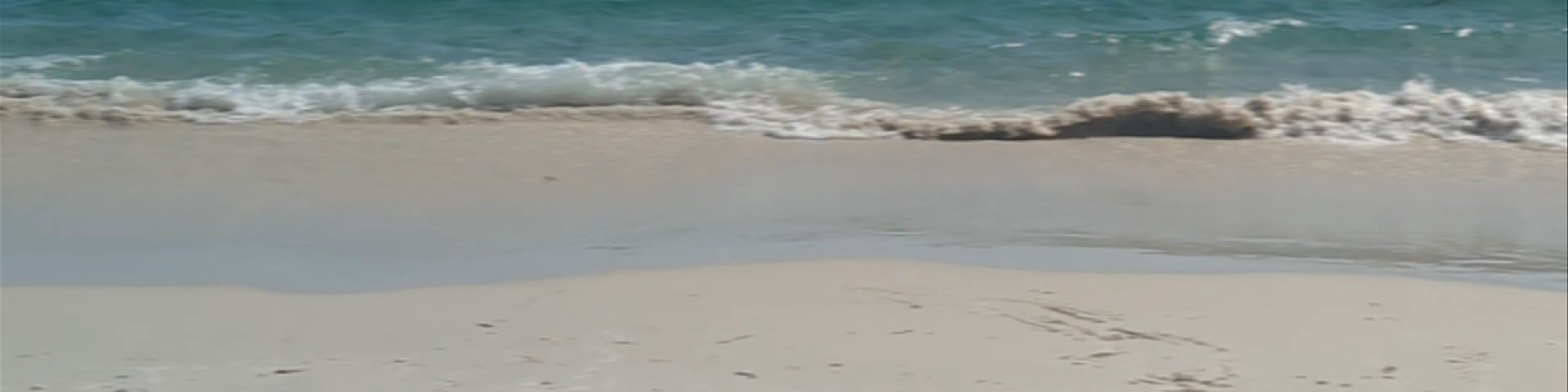 Murrays Beach