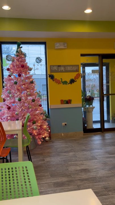 TeaRex Bubble Tea Cafe - View of inside the restaurant from a seat along the back wall. Panning from left to right you see the layout and decor - Bubble Tea Near Me - Skokie, Illinois