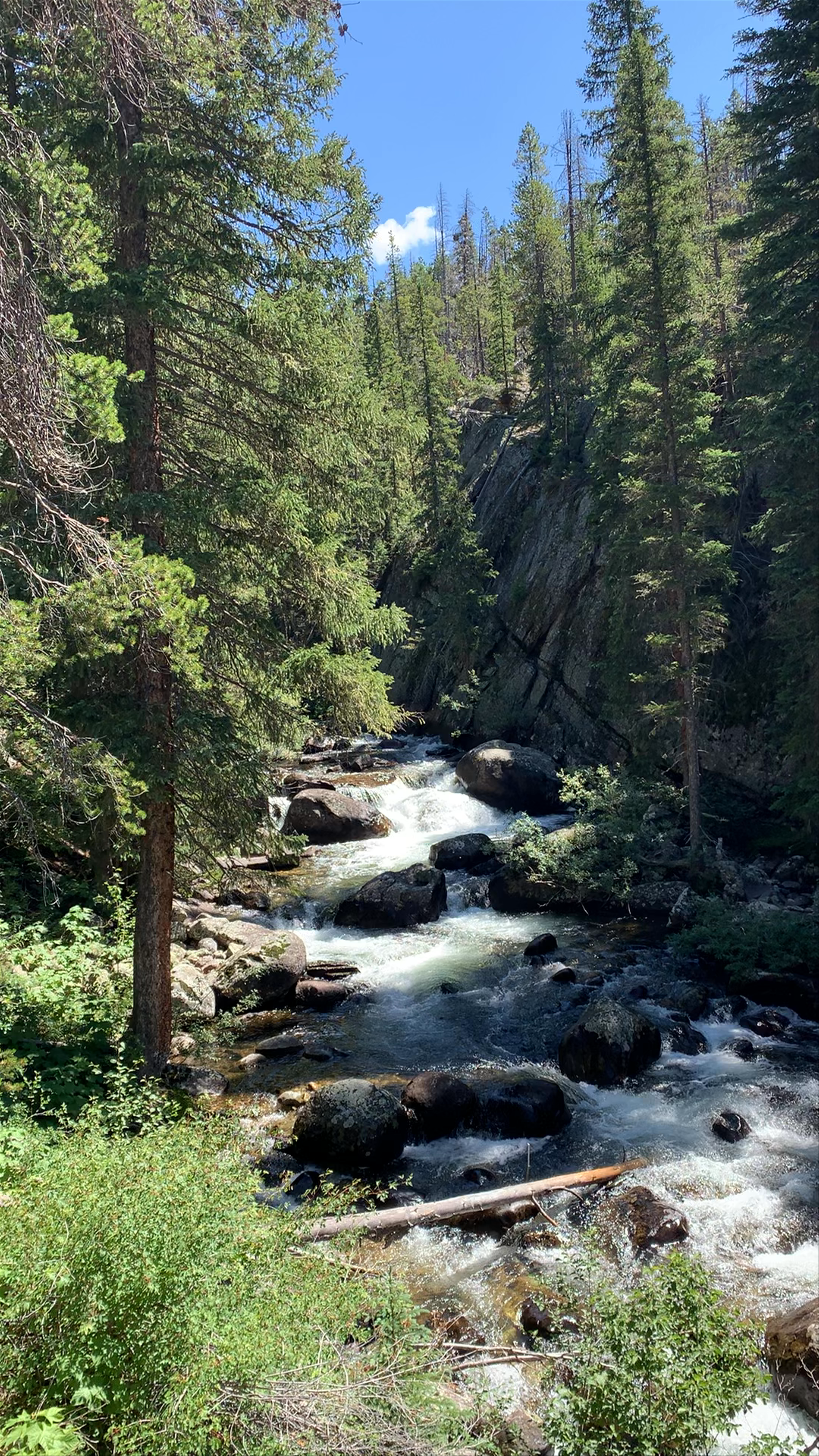 Arapaho & Roosevelt National Forests Pawnee National Grassland