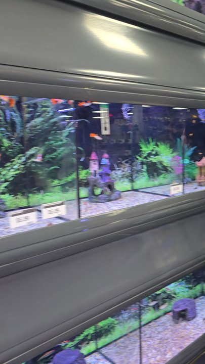 Pet Supreme - Local Fish Stores Near Me - Canoga Park, California