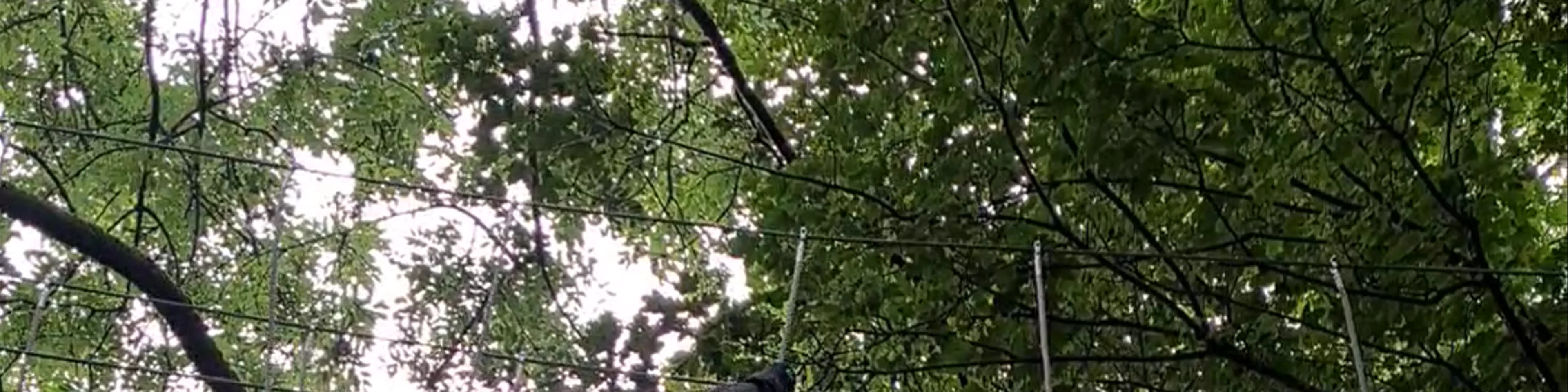 Go Ape Coventry 