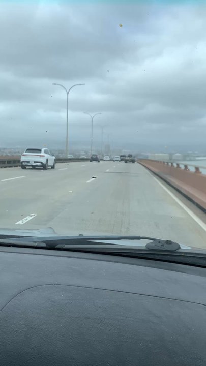 San Mateo Bridge - April 2025 - Local Flavor Near Me - San Mateo, California