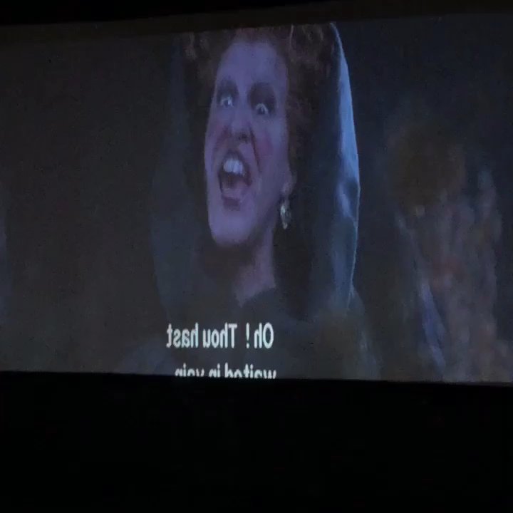 Salem Common - One of my favorite childhood movies, Hocus Pocus, playing on the lawn in Salem Common. - Parks Near Me - Salem, Massachusetts