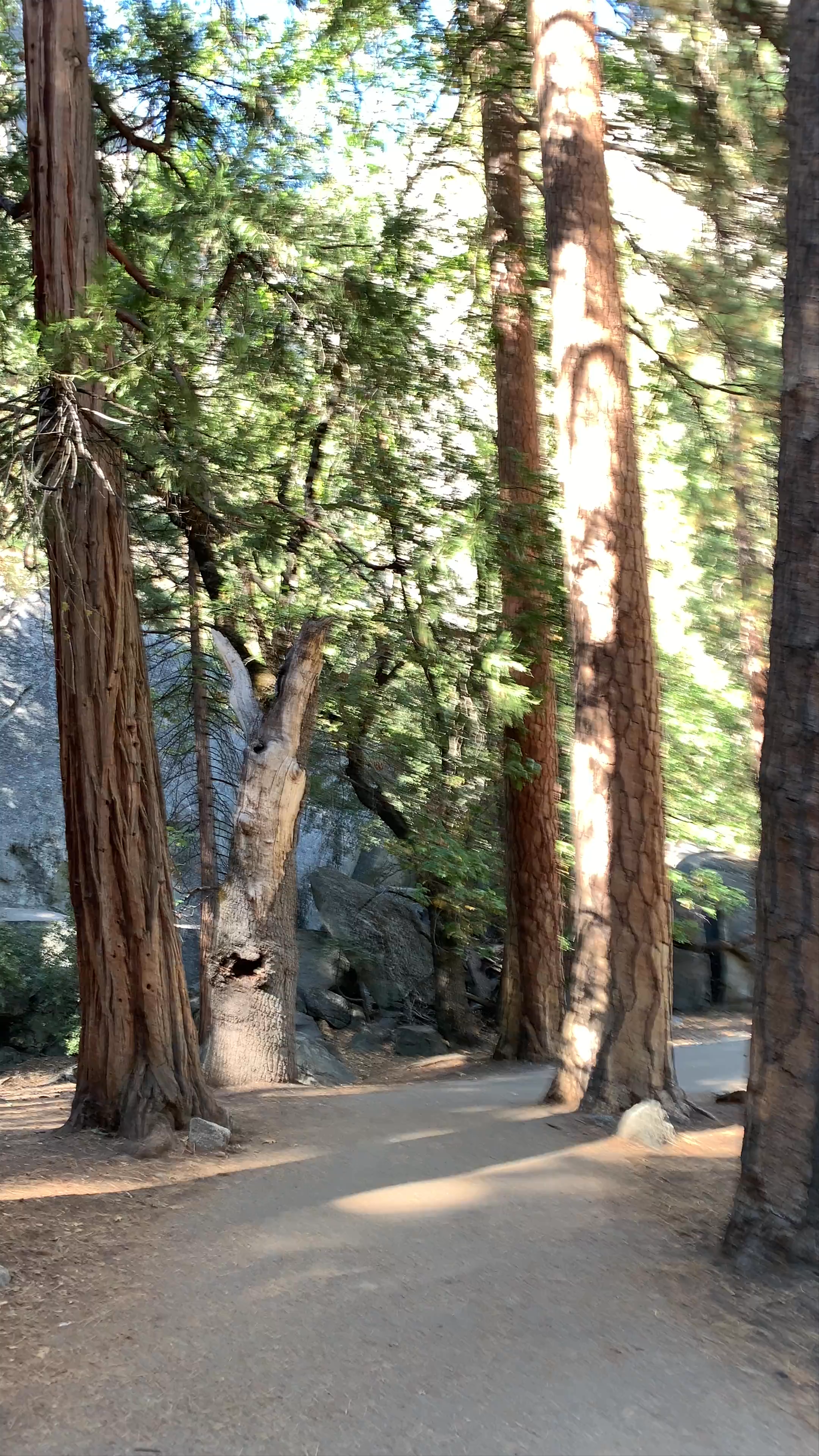 Lower Yosemite Falls Trailhead