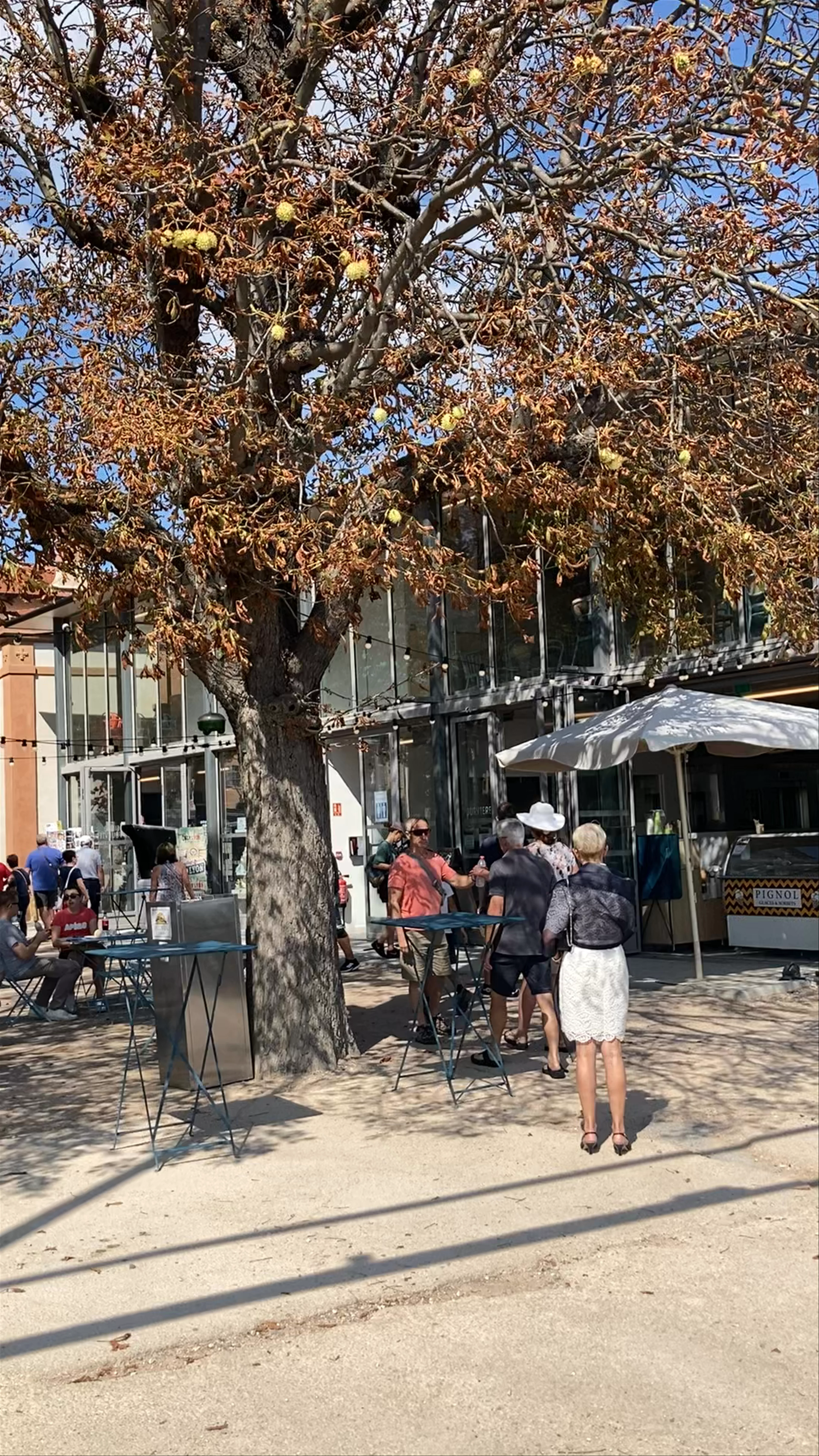 Esplanade du Site Notre-Dame de Fourvière, Place de Fourvière, Lyon, France