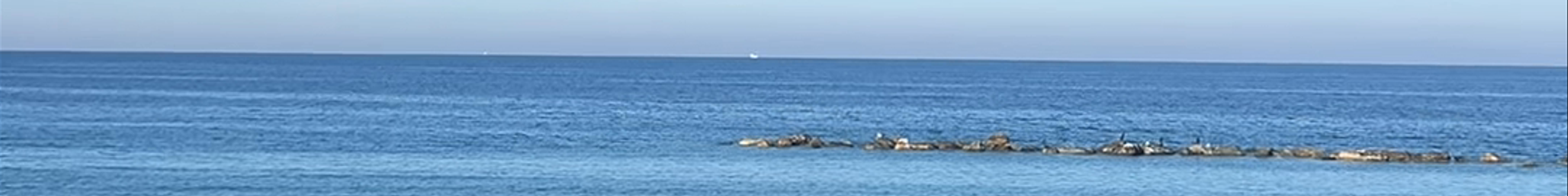 Tours & experiences in Kateríni