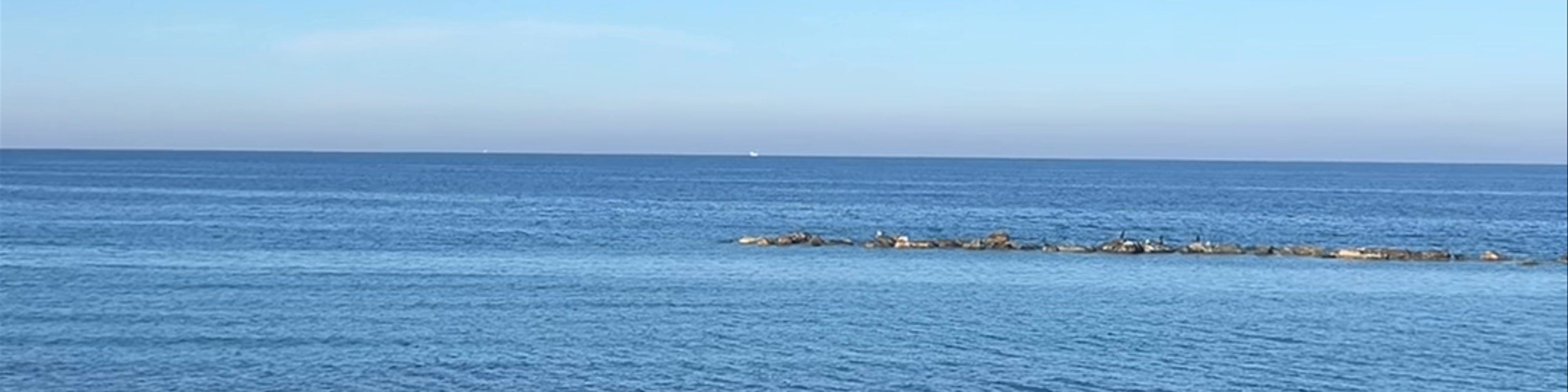 Stavento