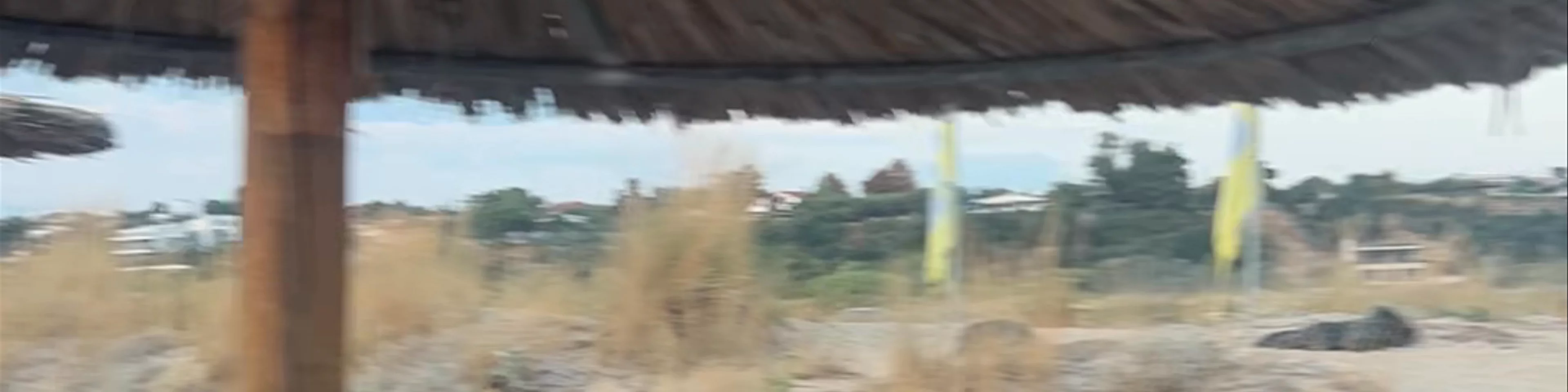 Yolo Beach Bar