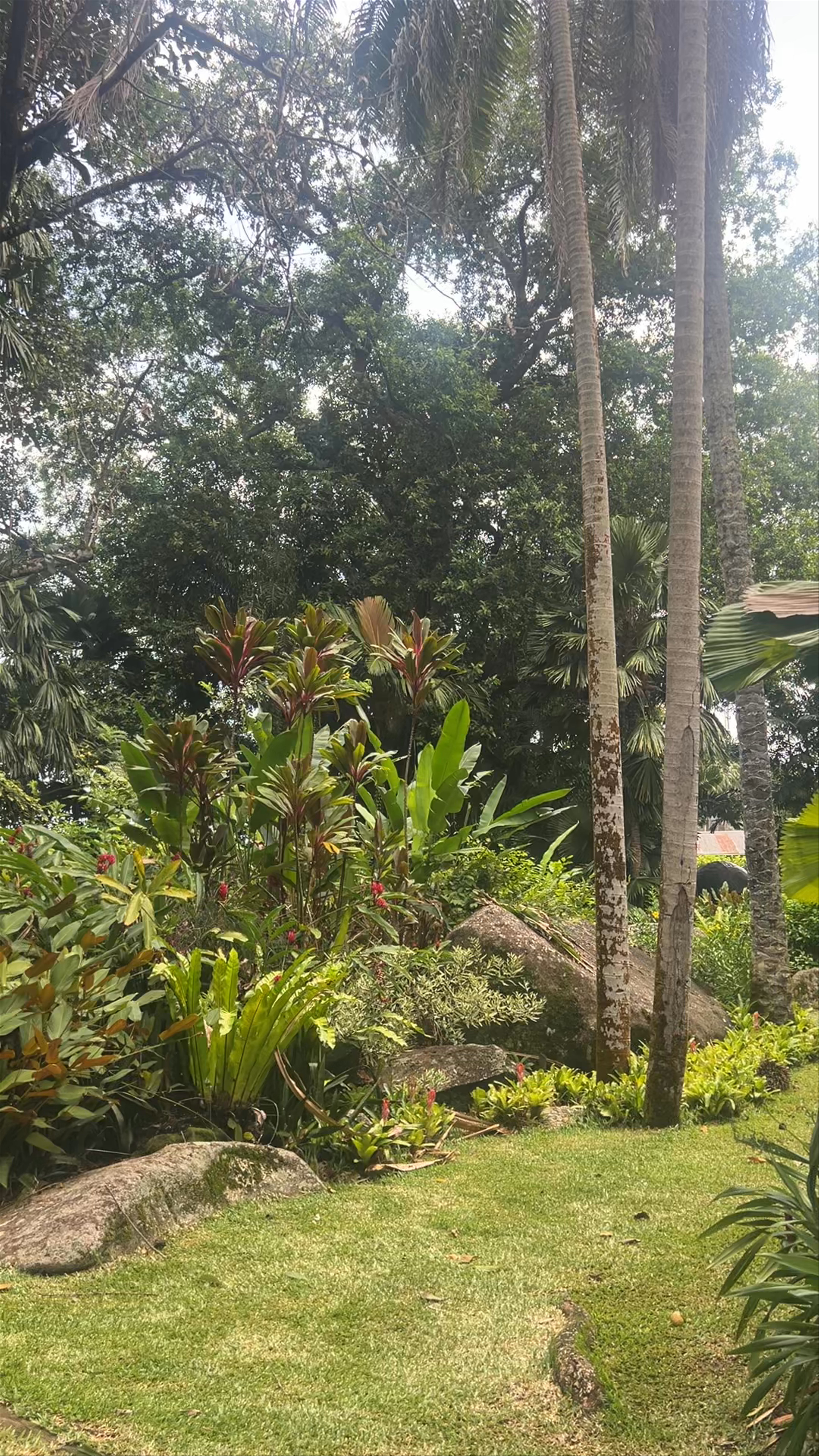Praslin National Park