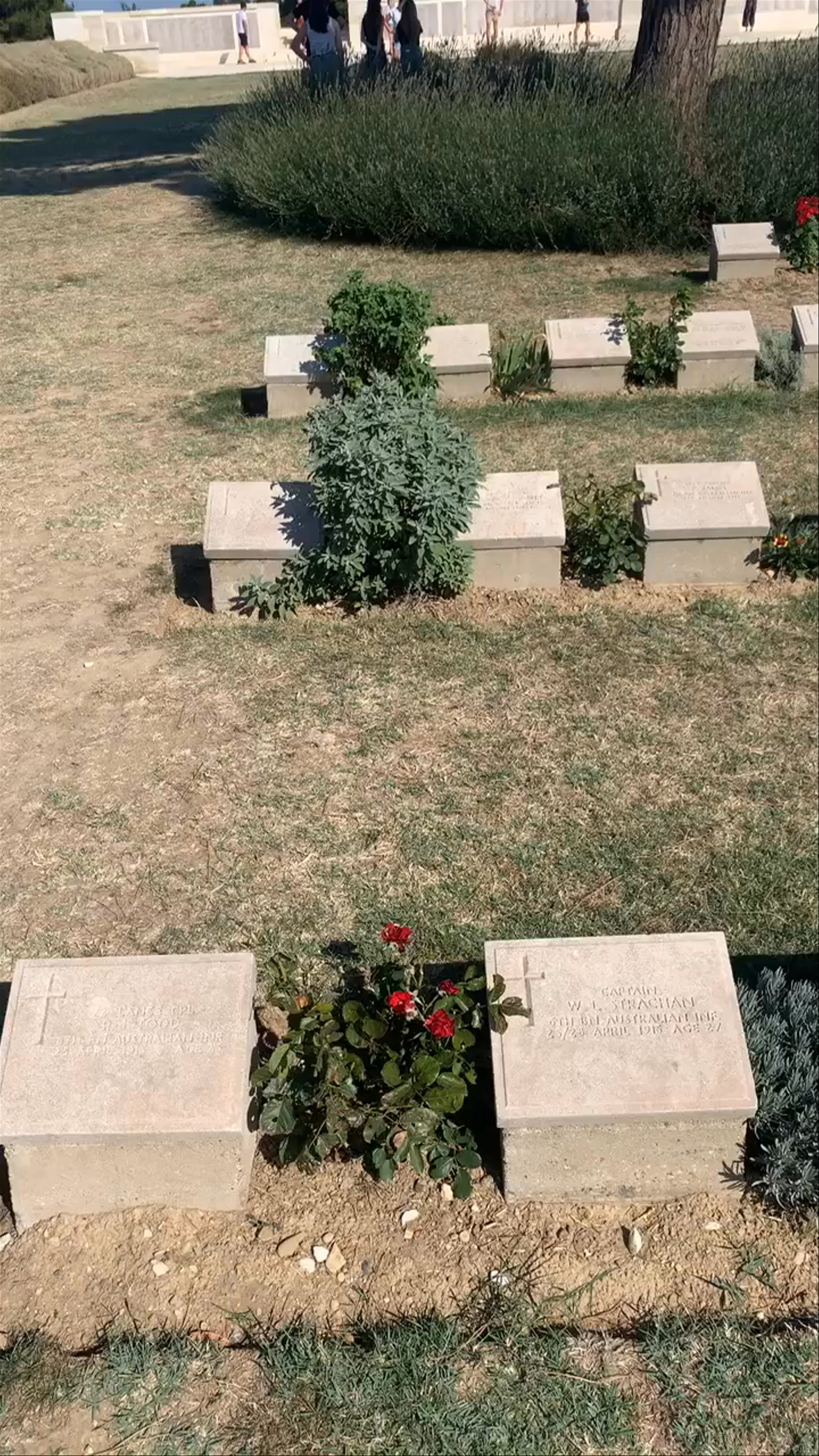 Anzac Cove Cemetery: A Quiet Tribute in Gallipoli, Turkey