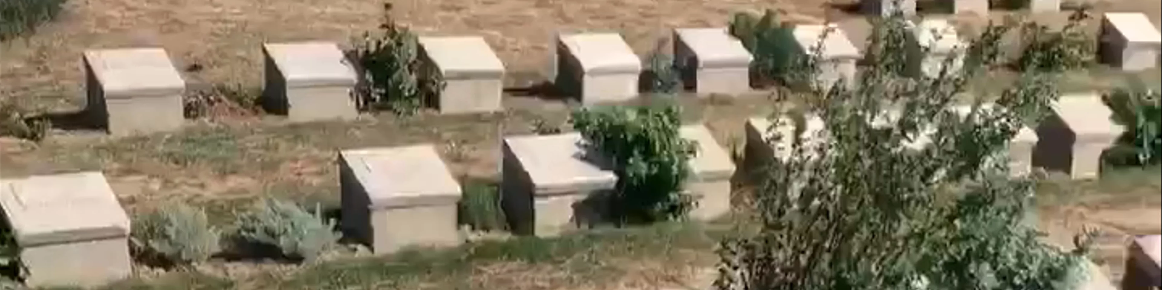 Anzac Cove