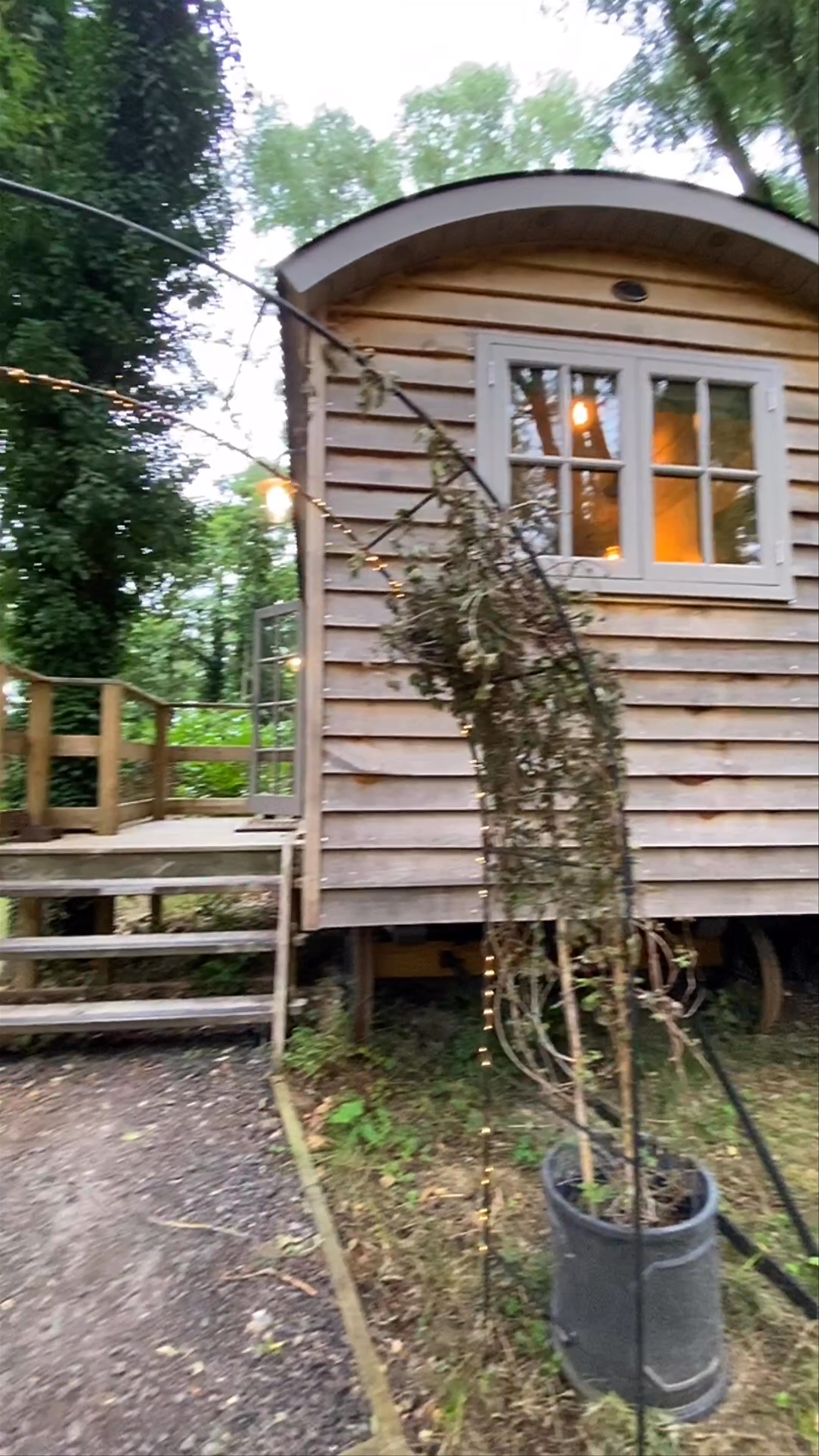 The Fish Hotel