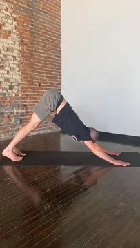 Downward-Facing Dog Pose 