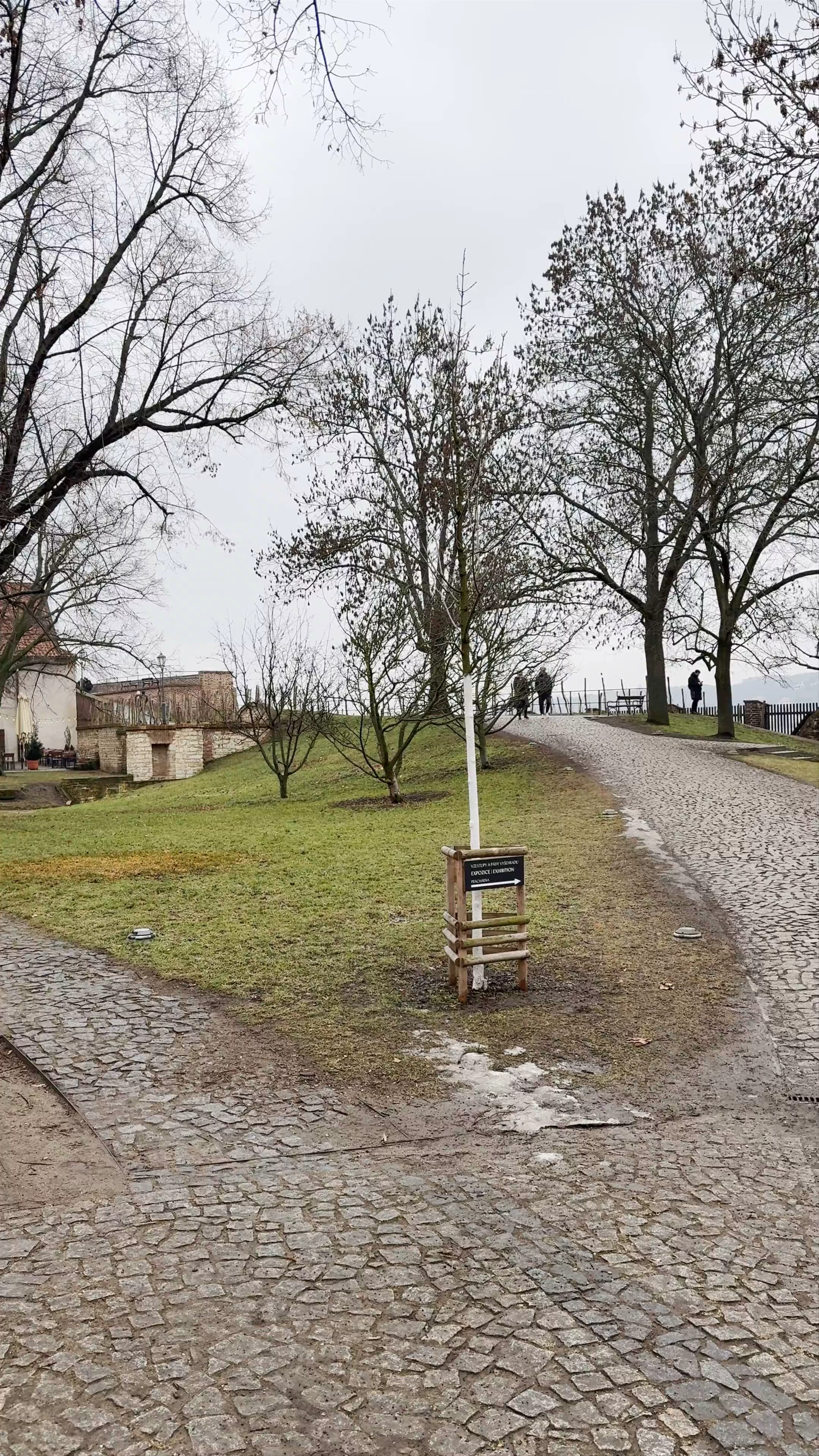 Vyšehradské sady